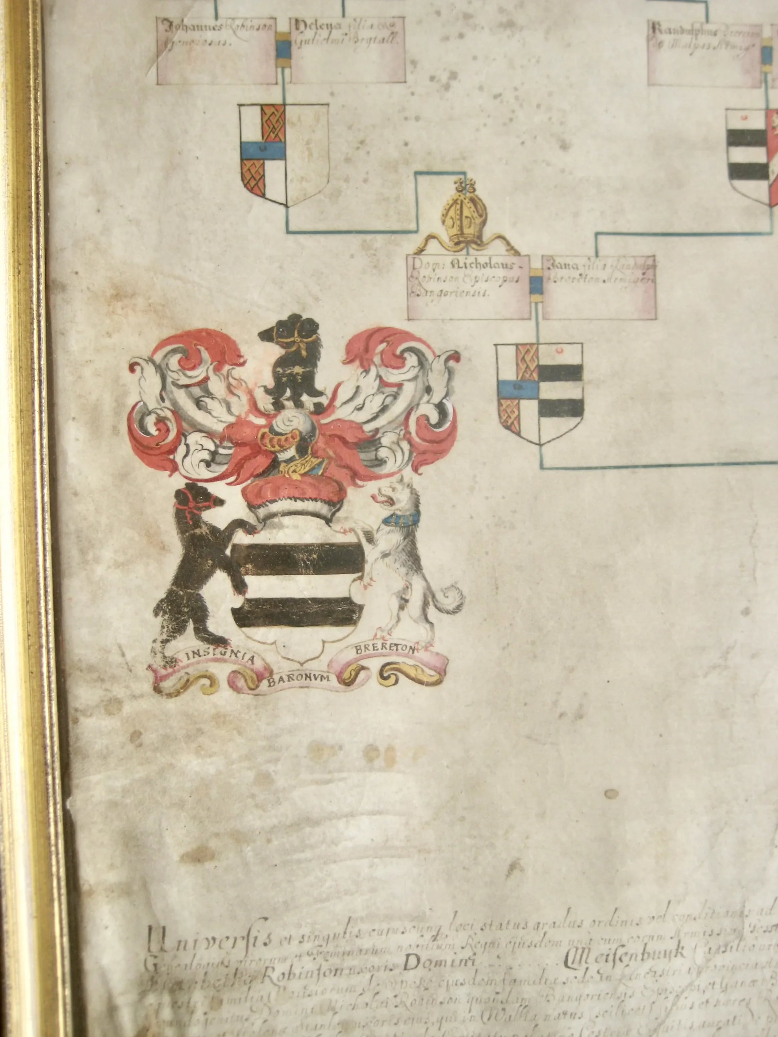 German Genealogist Tree Coat of Arm of a Duke Family Frame - 3