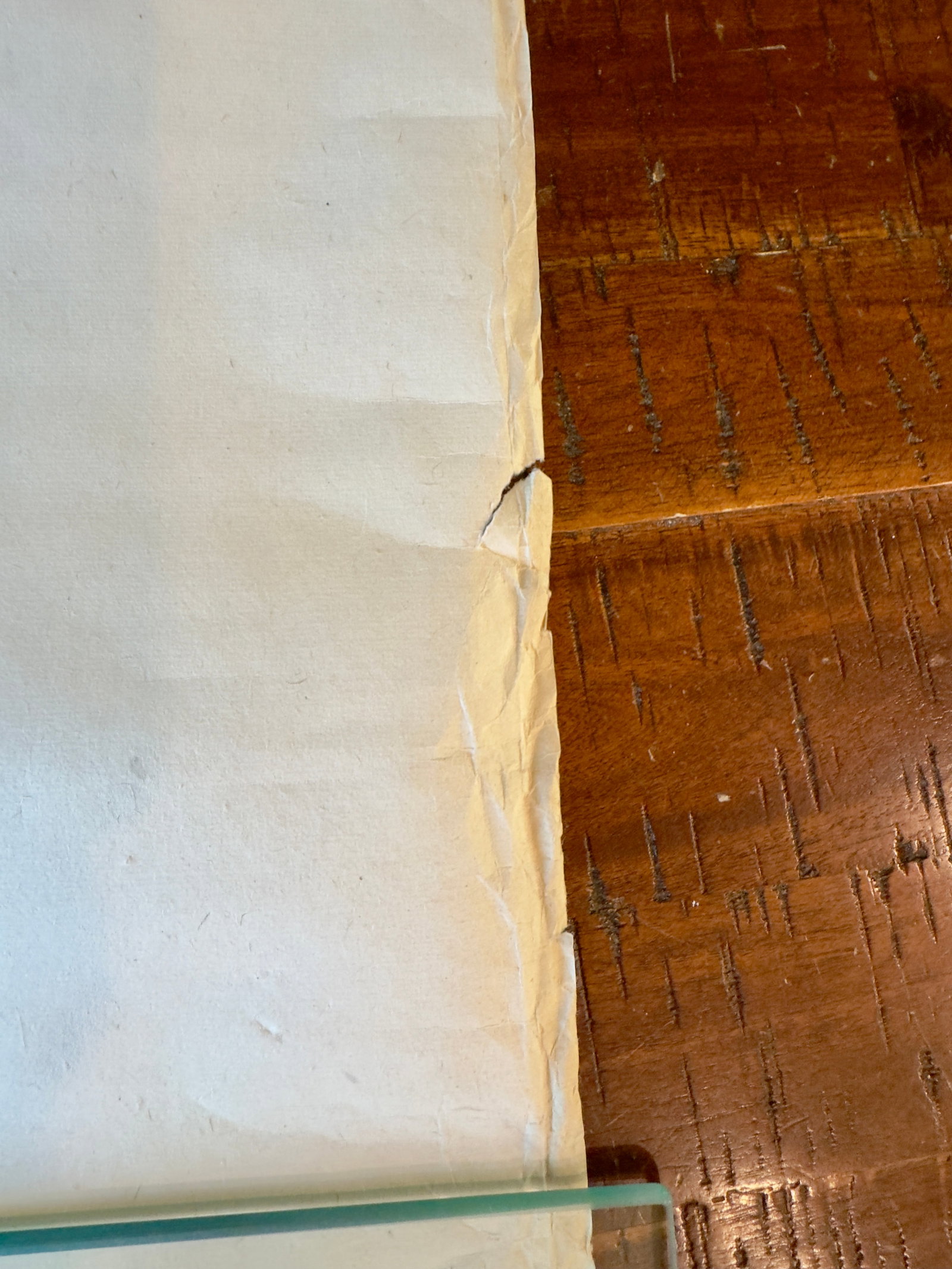 Traditional Chinese Ink Wash Scroll Painting ( Shui Mo Hua ) Village Scene , Signed - 8