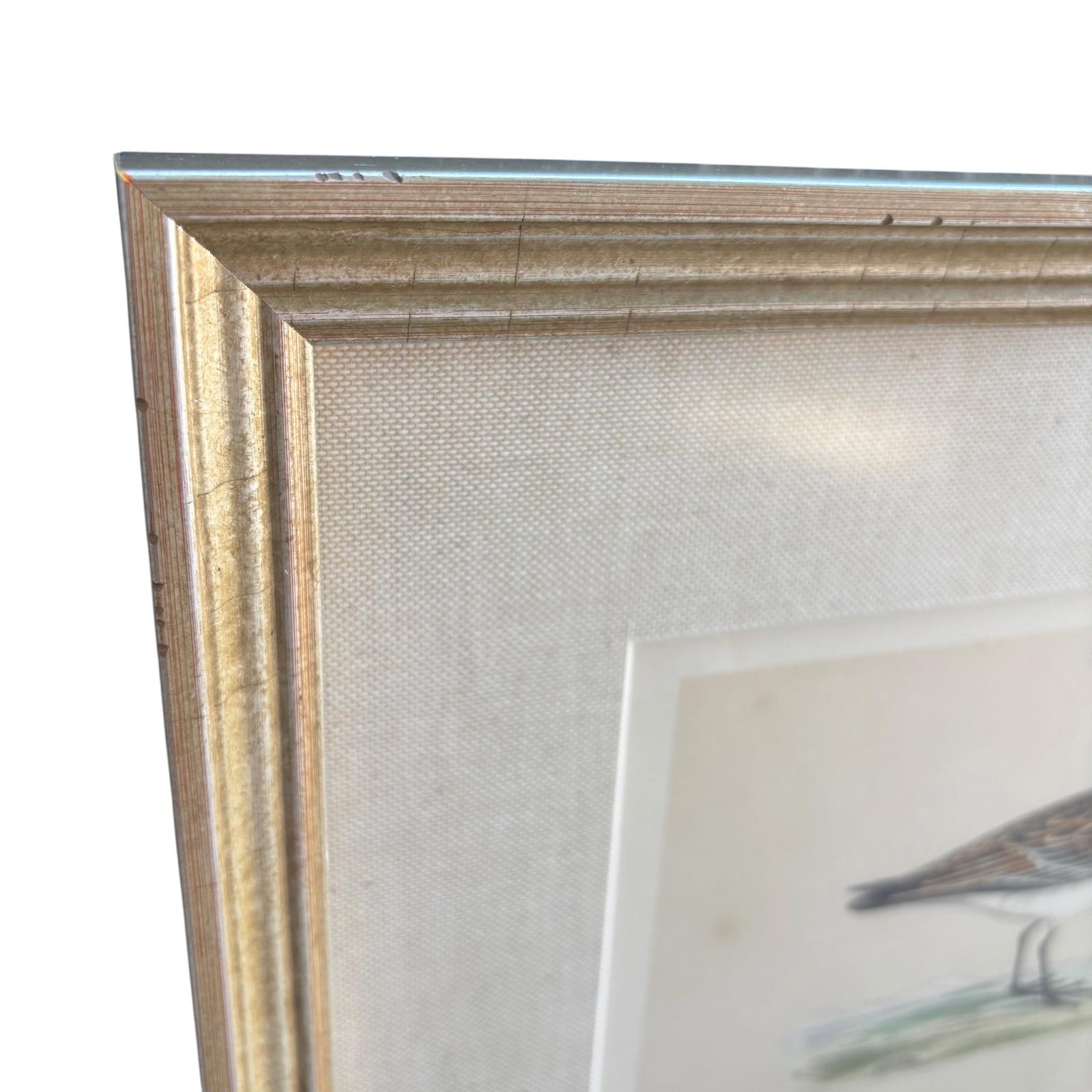 19th Century English Bird Engravings by Alexander Francis Lydon, Set 12 - 16