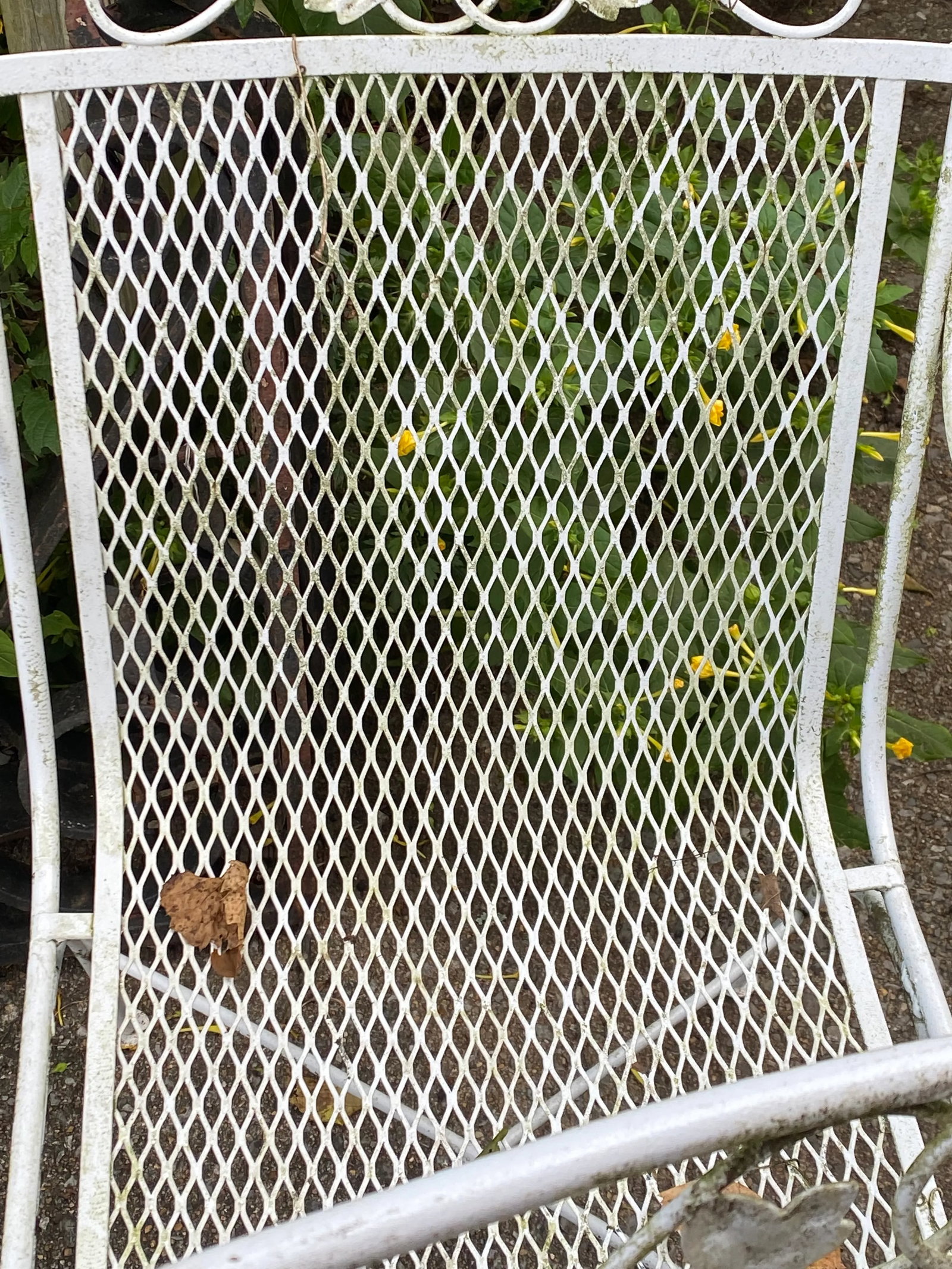 Woodard Maple Leaf Wrought Iron Arm Chairs Set of 4 - 12