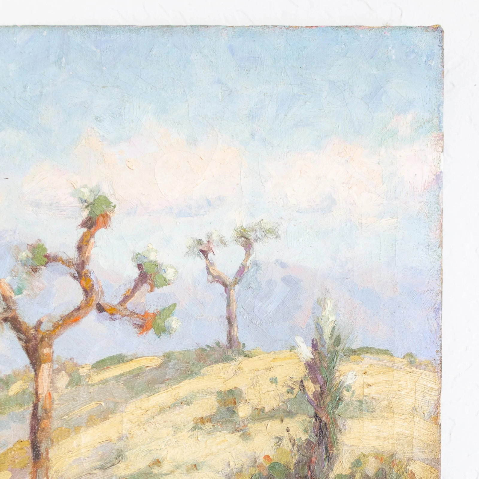 Antique Joshua Tree California Desert Landscape Signed Oil Painting - 11