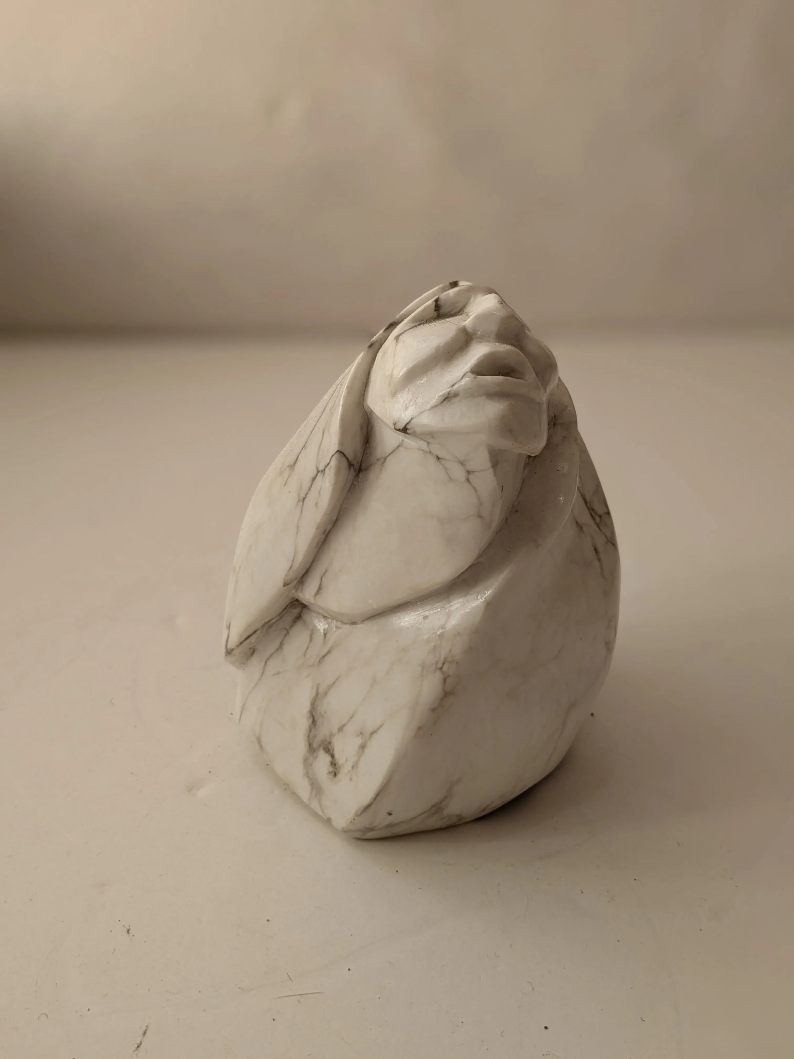 Signed S. General Carved Marble/Howlite Native American Face - 3