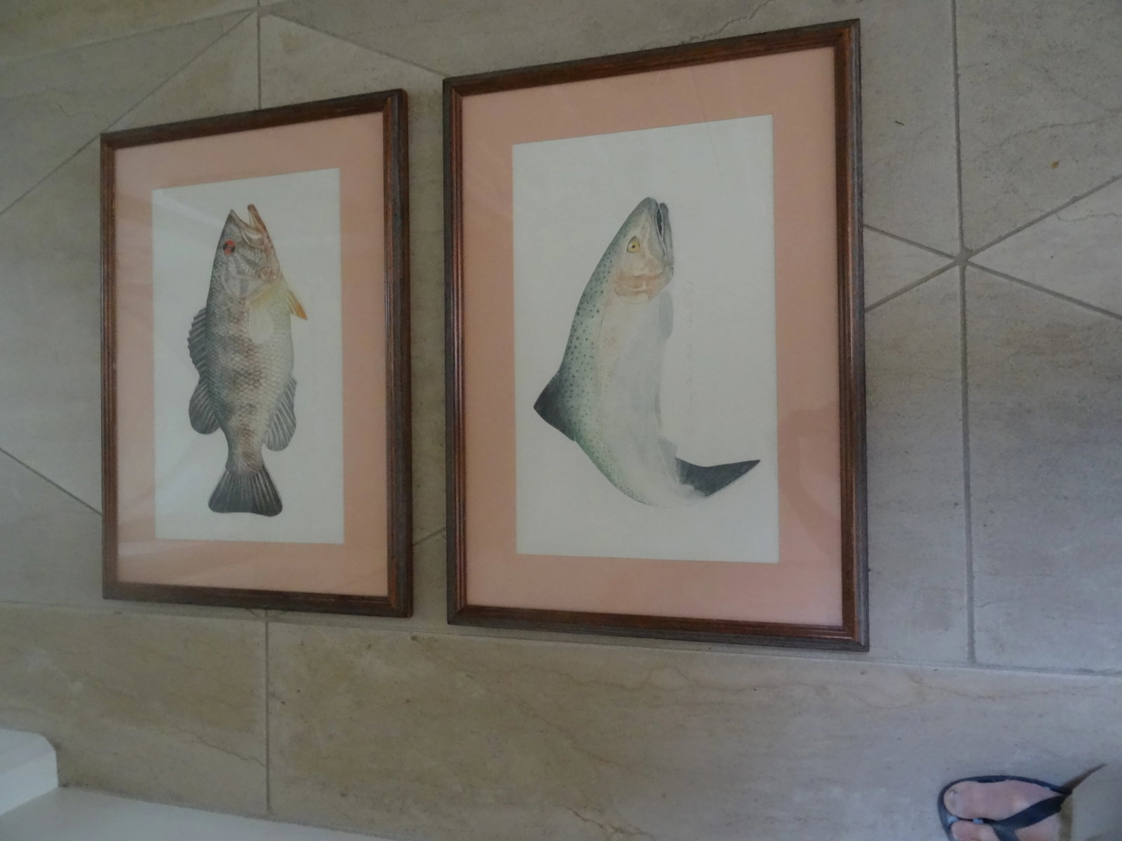 Late 20th Century Limited Edition Fish Lithographs a Pair, Framed - 6