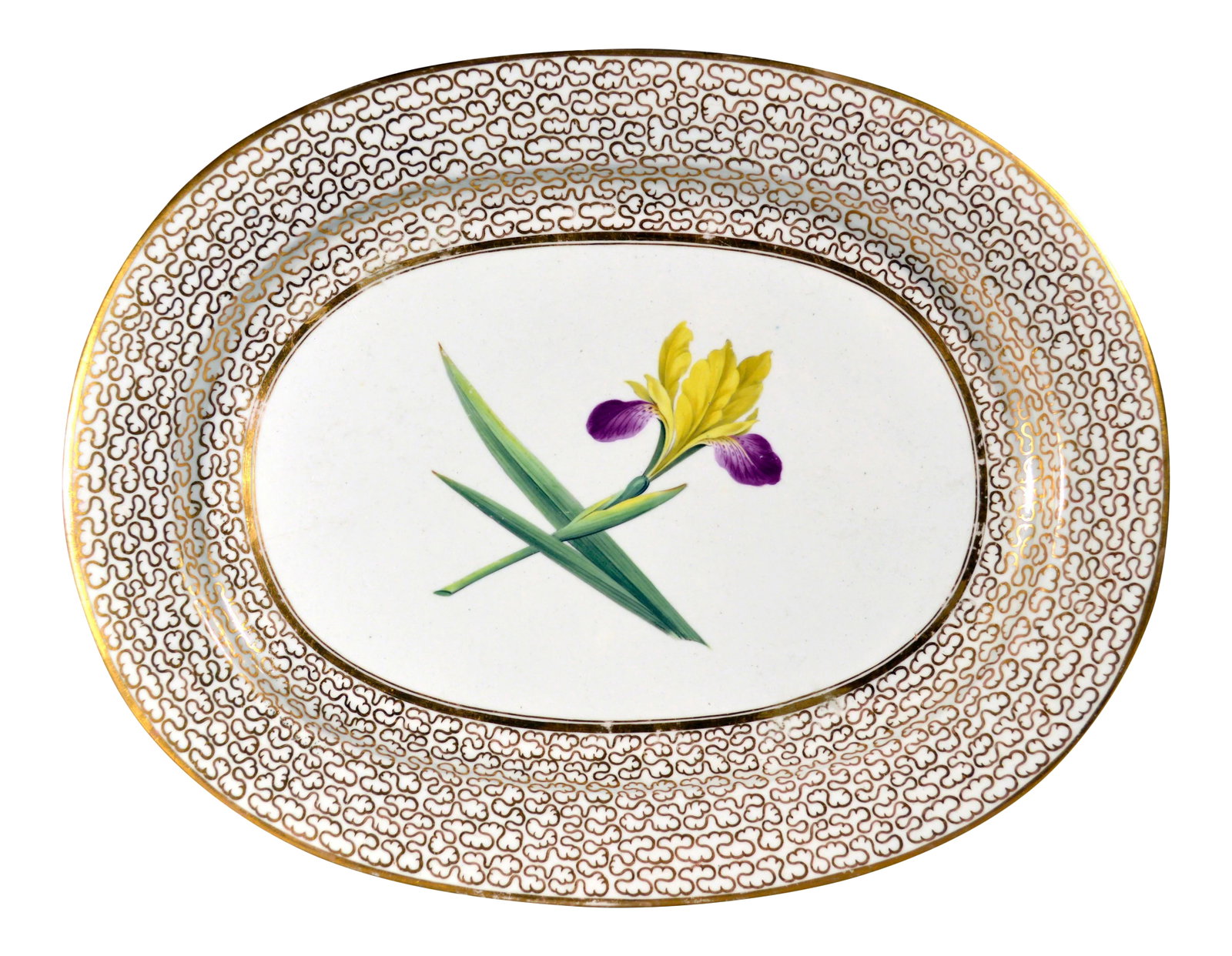 Antique English Chamberlain Worcester Porcelain Dish: Botanical Masterpiece: Chamberlain Worcester Iris Dish Object: Large Oval Dish Manufacturer: Chamberlain's Worcester Porcelain Factory, Worcester, England Date: Circa 1815 (Regency Period) Medium: Har