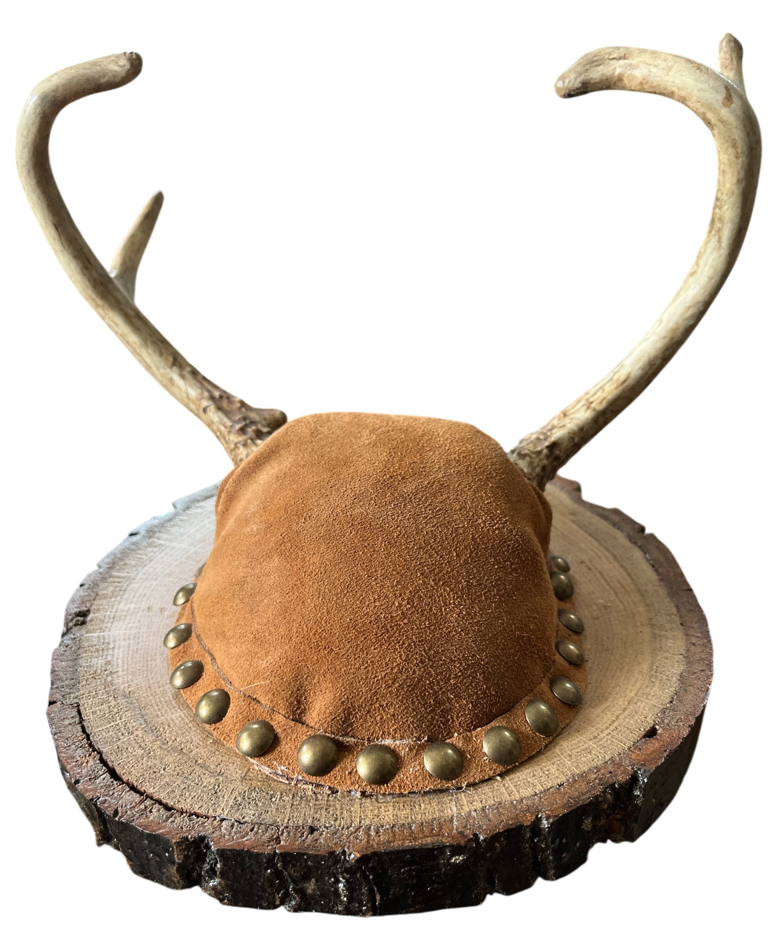 Vintage Mounted Deer Antlers on Live-Edge Wood Plaque - 2