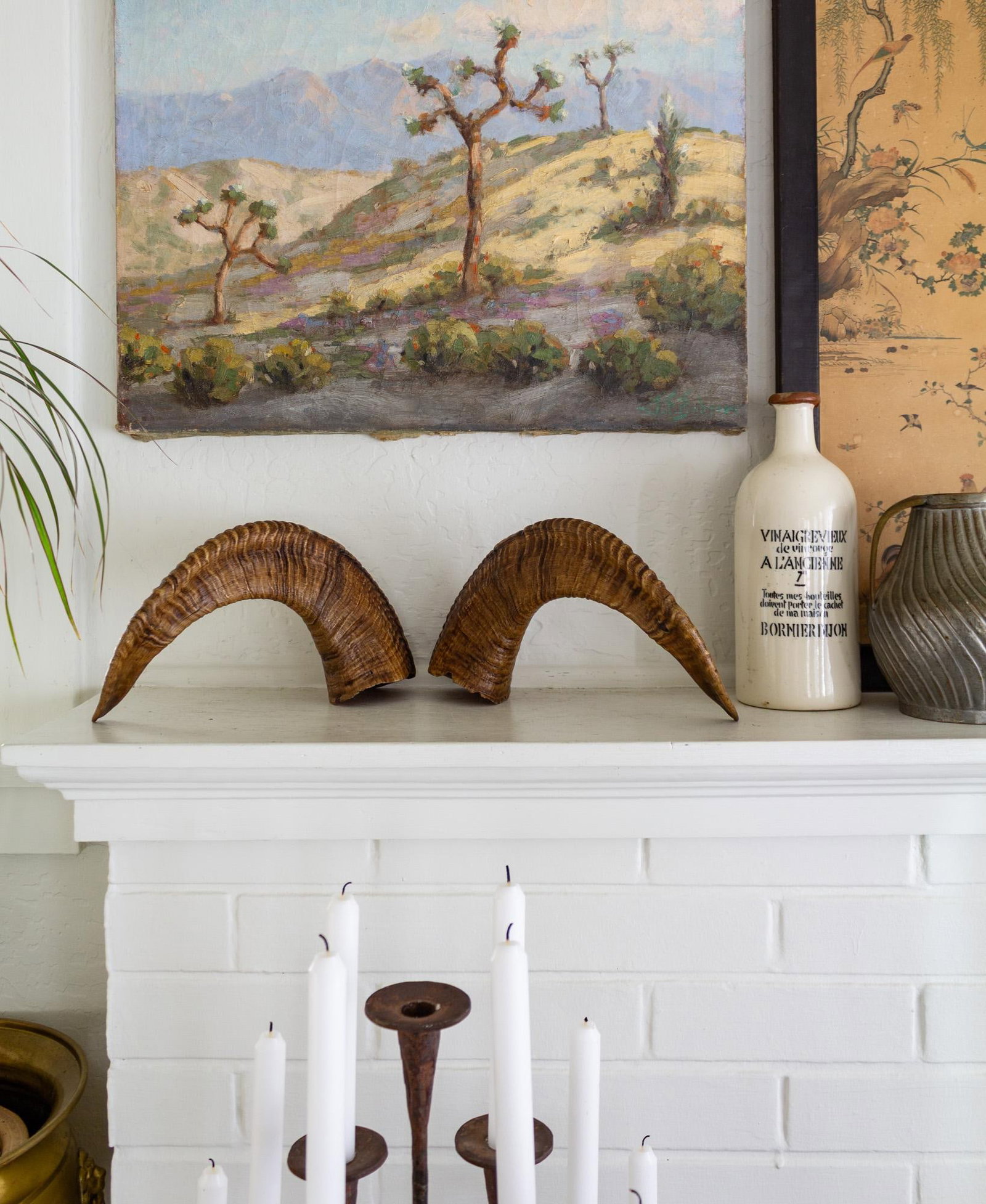 Pair of Natural Taxidermy Waxed Ram Horns - 8
