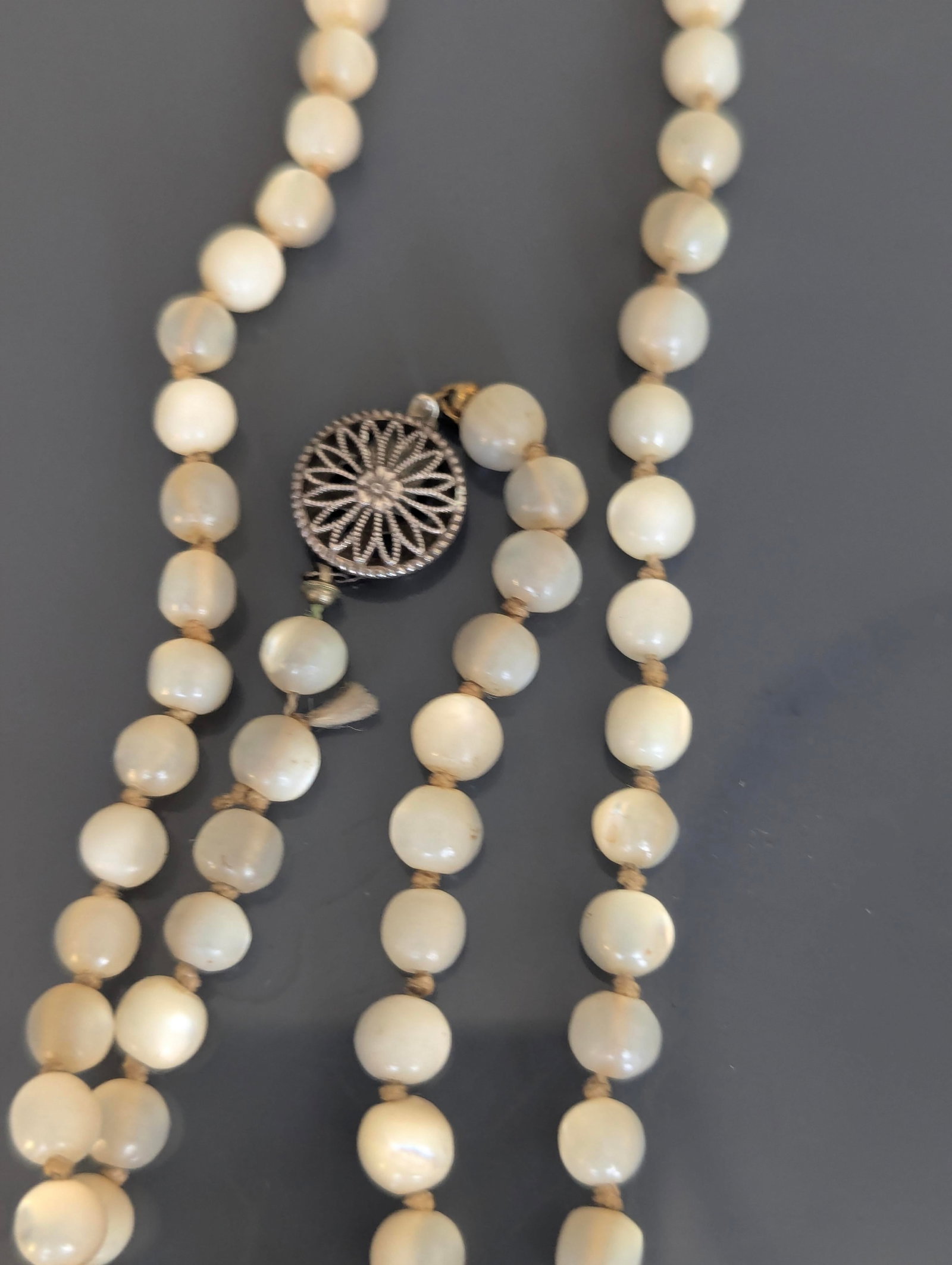 Antique 60" Necklace Shell Beads With Worthy Clasp - 2