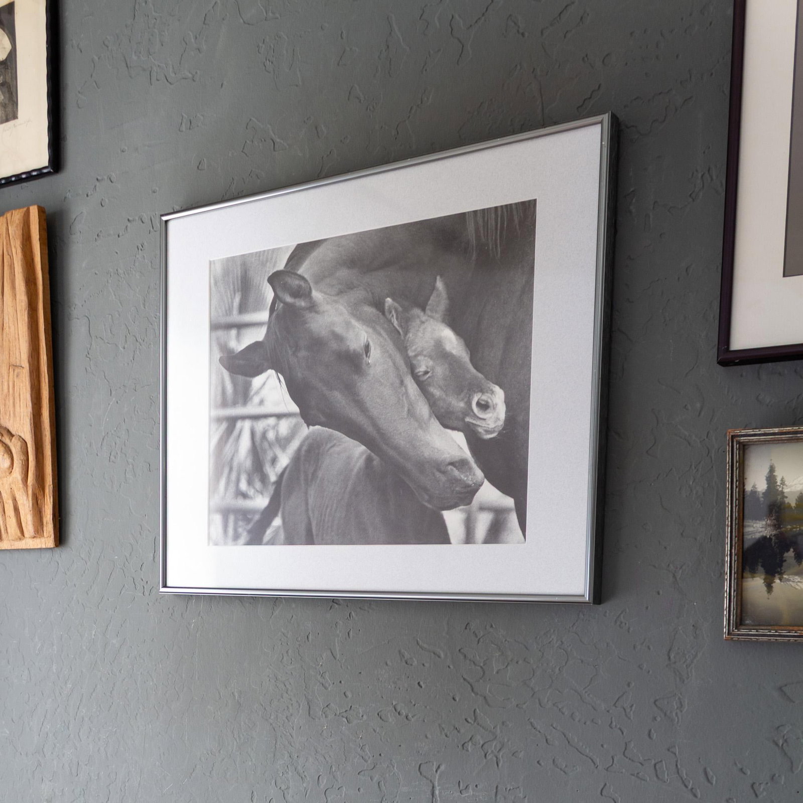 Black and White Equestrian Photography Mare Horse and Baby Foal - 3