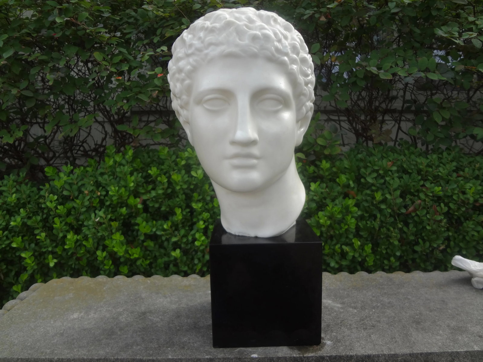 French Porcelain Bust of a Classical Male - 12