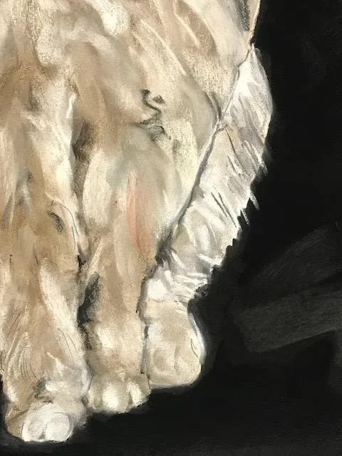 "Jack Rabbit 2" Original Expressionist Pastel Drawing - 5