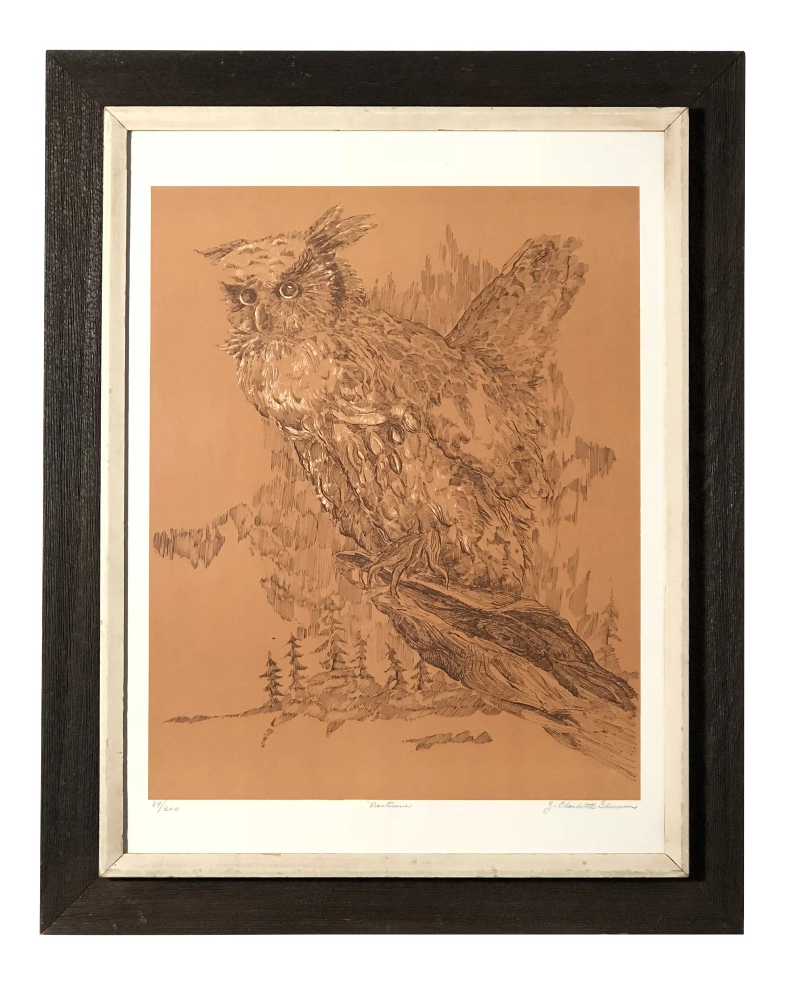 Midcentury Owl Lithograph by Z. Charlotte Sherman: Finely detailed midcentury portrait of an owl in its habitat. The lithograph has a light brown background, black details, and white highlights. It is held under glass by a rustic cream and espresso