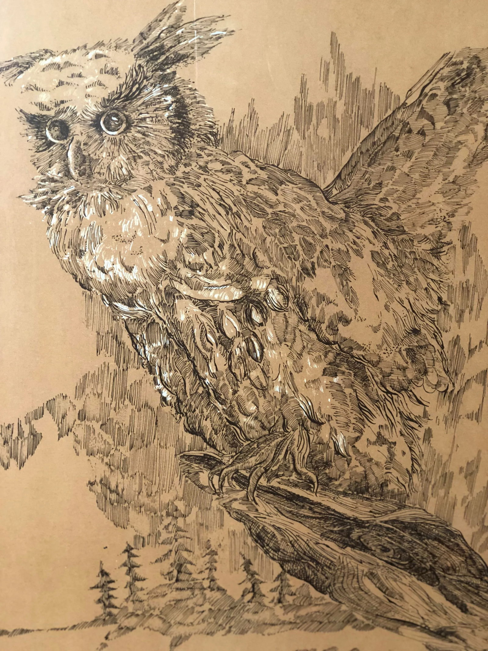 Midcentury Owl Lithograph by Z. Charlotte Sherman - 3