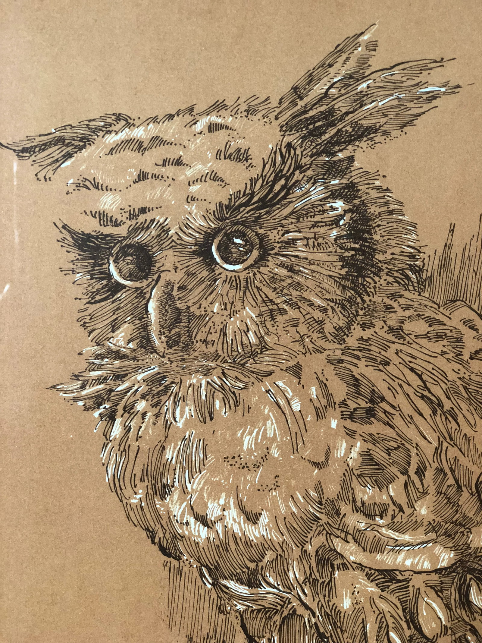 Midcentury Owl Lithograph by Z. Charlotte Sherman - 4