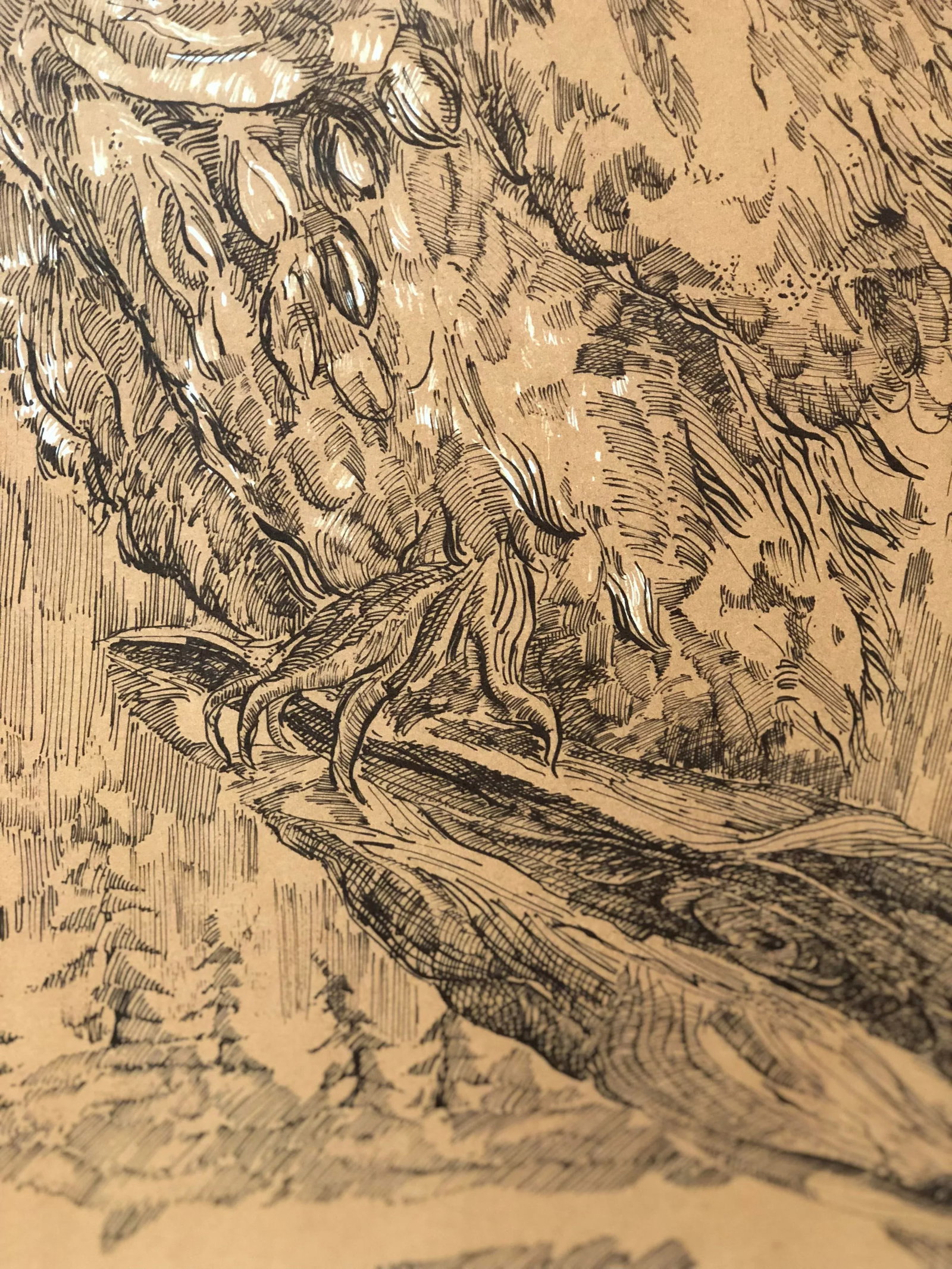 Midcentury Owl Lithograph by Z. Charlotte Sherman - 5