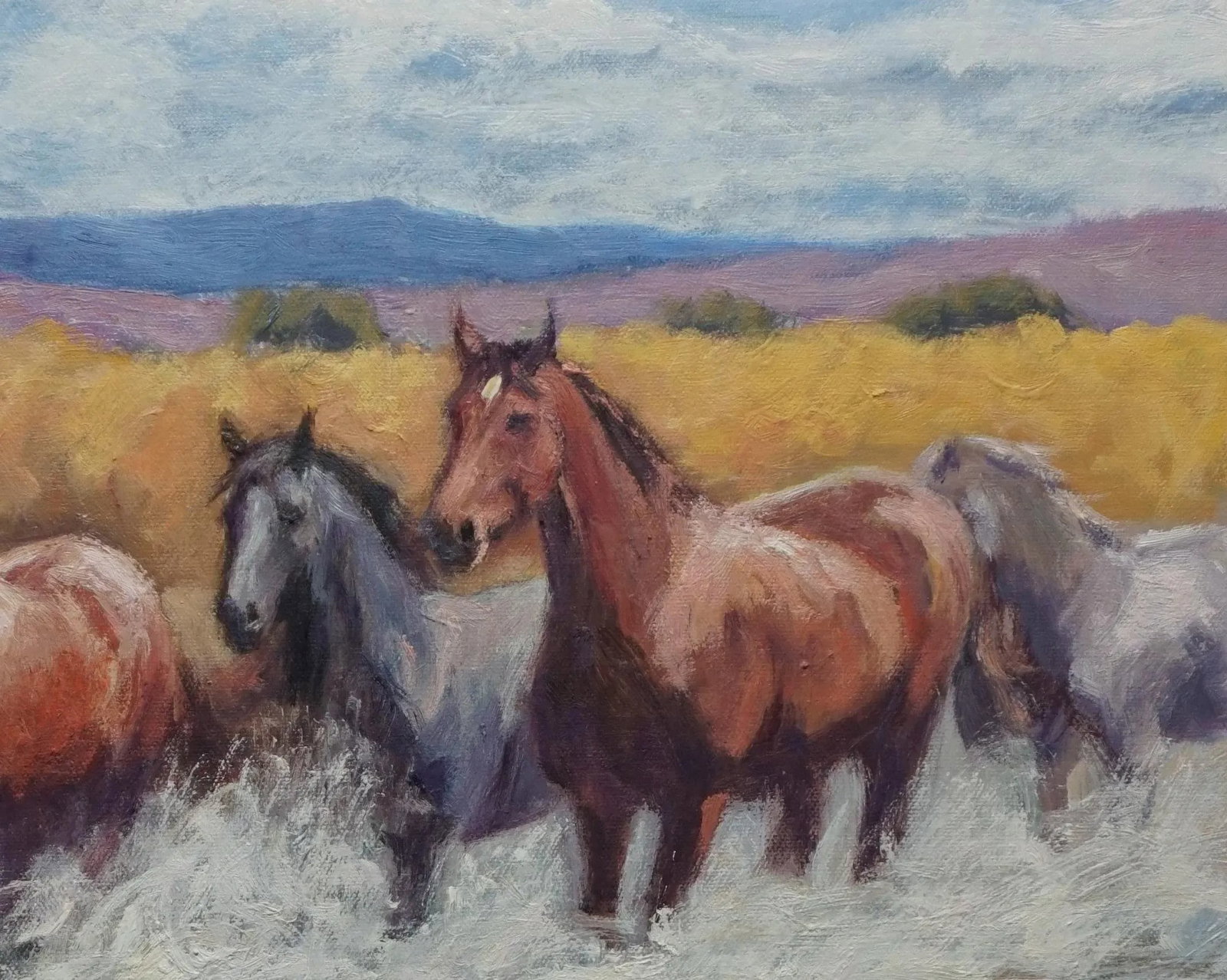 Sean Wu Original Oil Painting of Wild Horses - 2