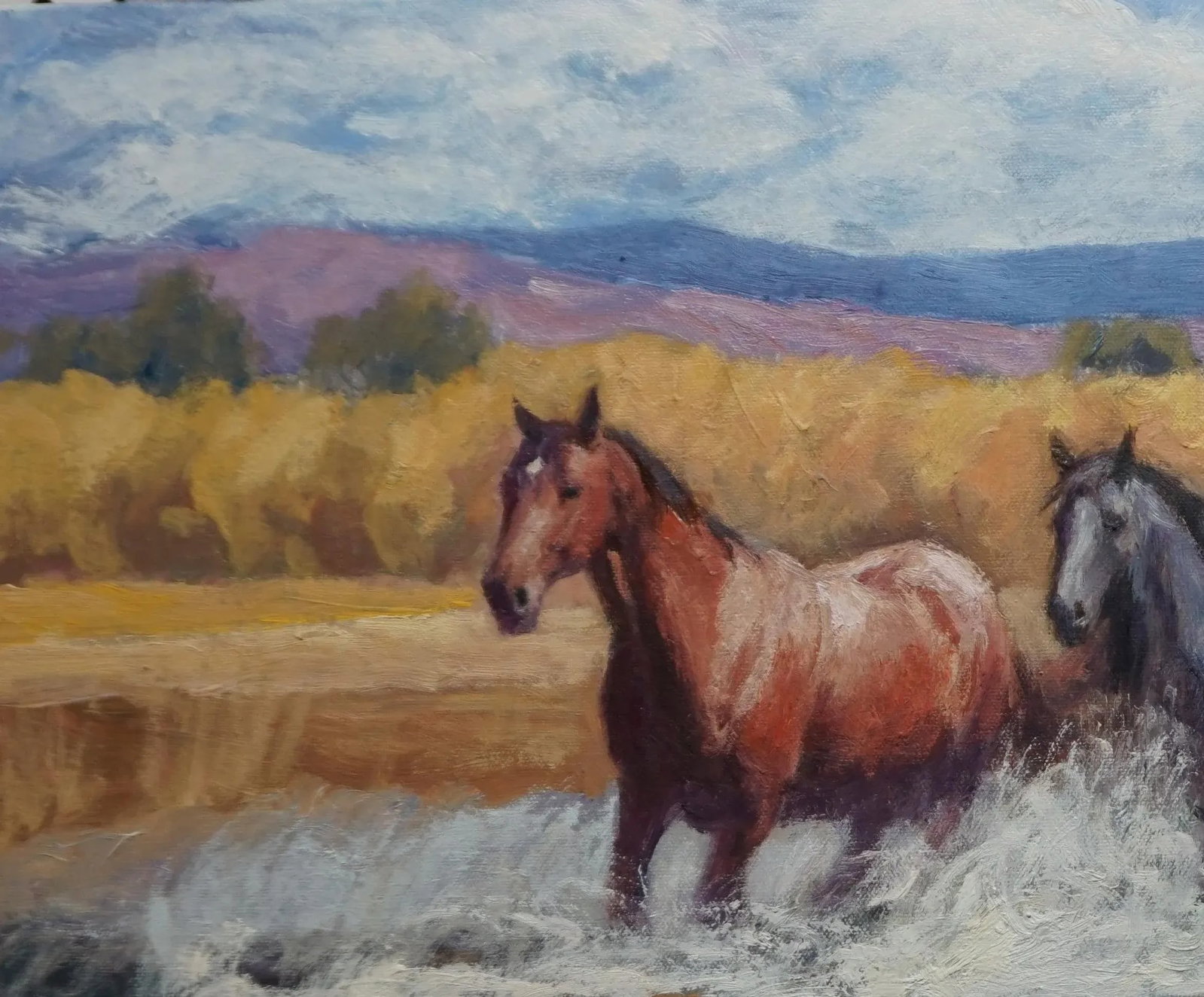 Sean Wu Original Oil Painting of Wild Horses - 3