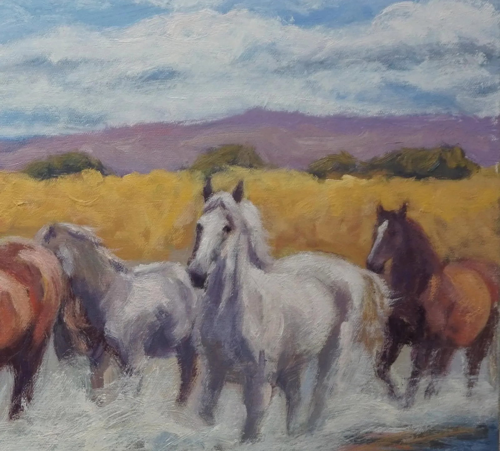 Sean Wu Original Oil Painting of Wild Horses - 4