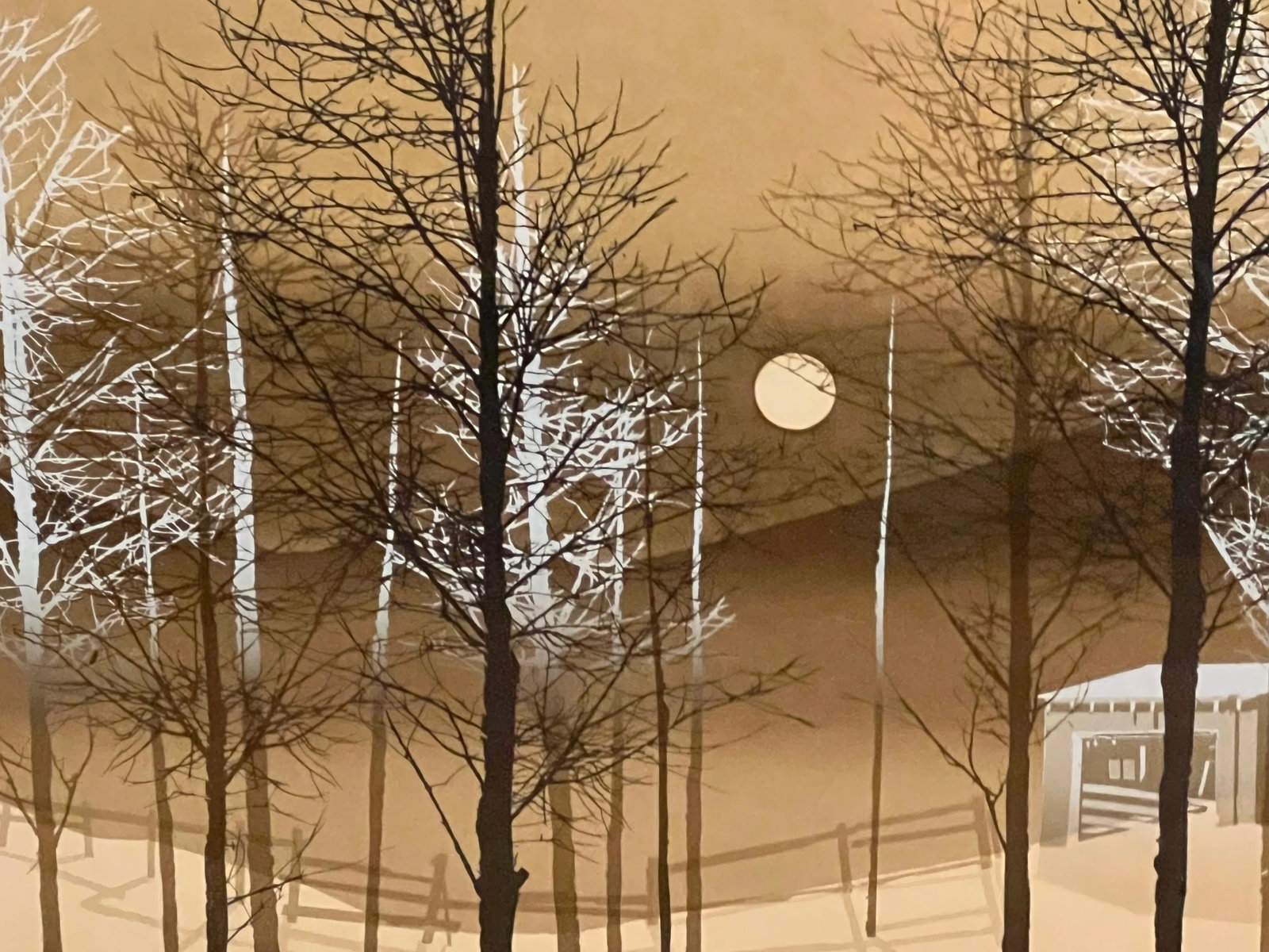 Vintage Artwork by Virgil Thrasher "Moon Cast" Seriograph Signed #35/375 - 3