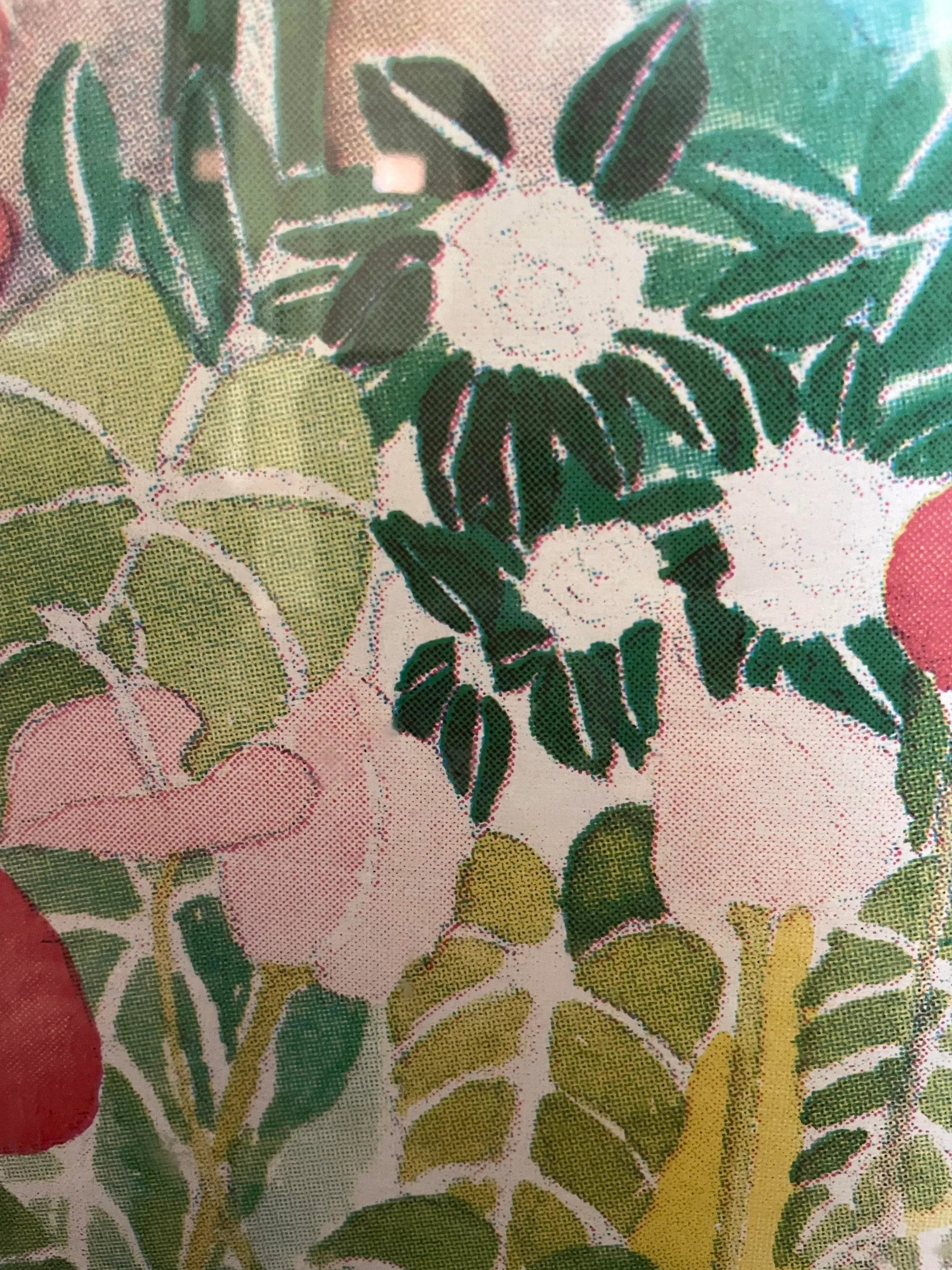 Signed Lithograph by Guita Chariker Featuring a Brazilian Landscape and Botanicals. 02/133 - 5