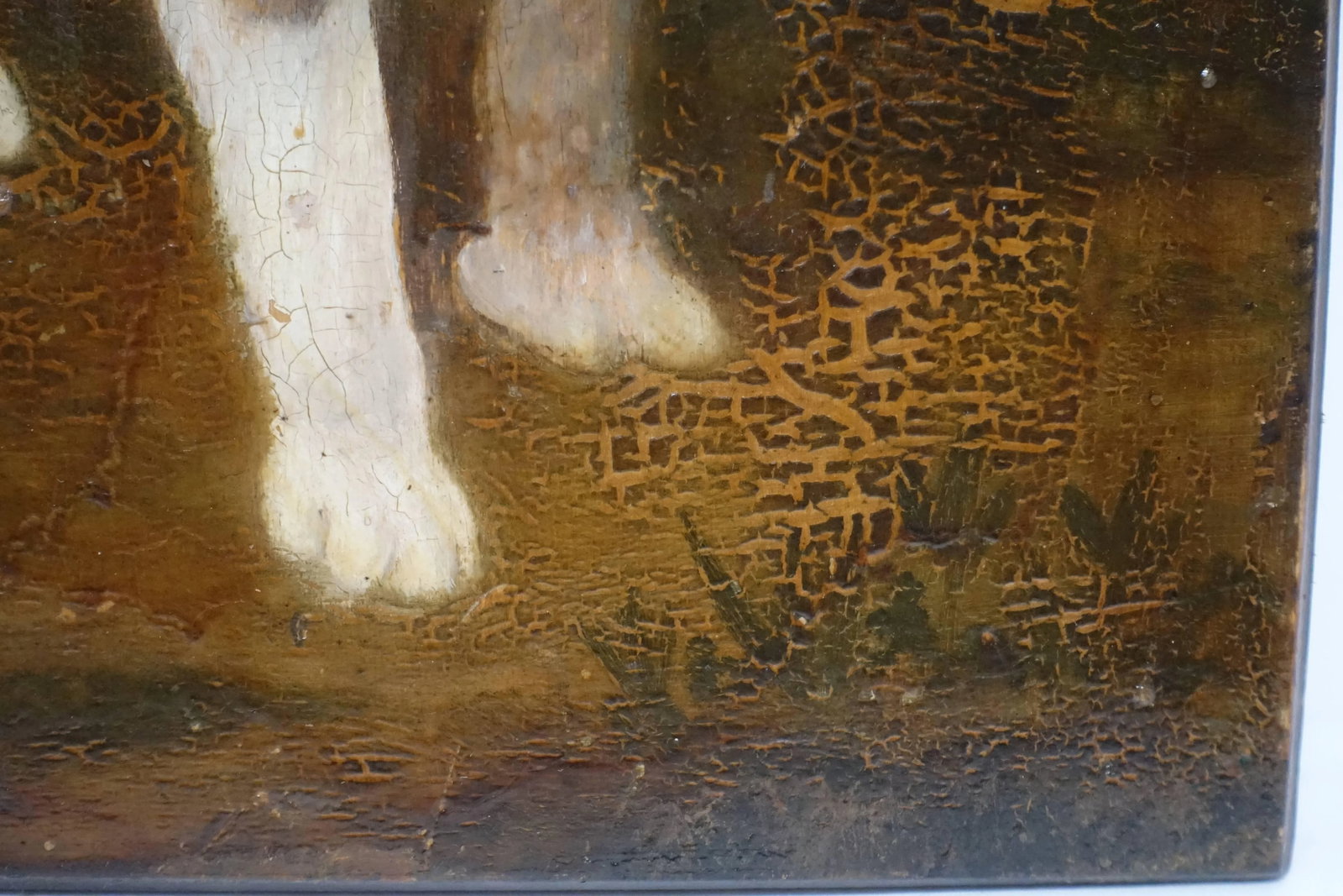 19th Century English Dog Portrait Painting - 5