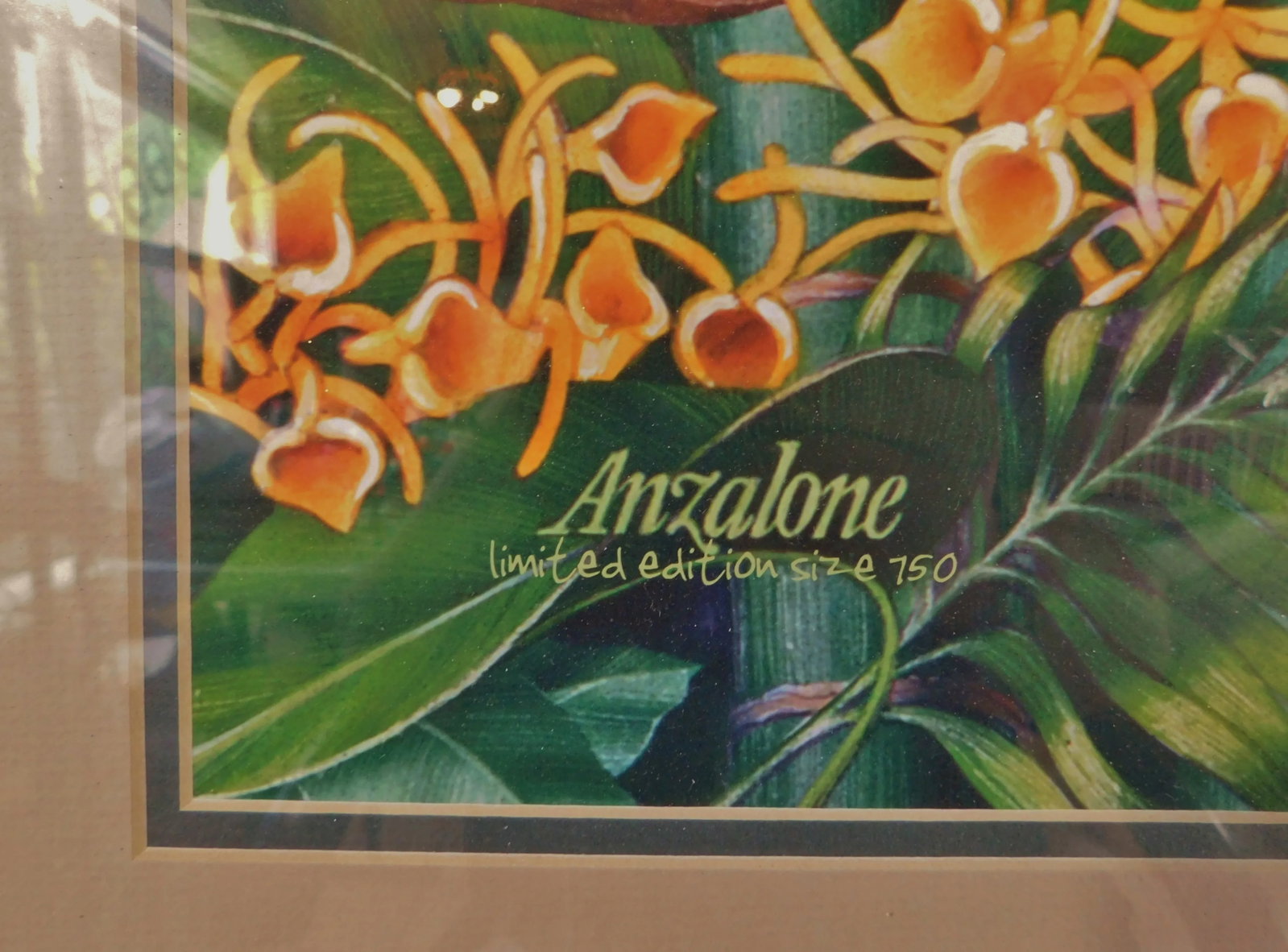 Large Tropical Toucan Bird on Tree Floral Limited Edition Print Bamboo Frame - 10