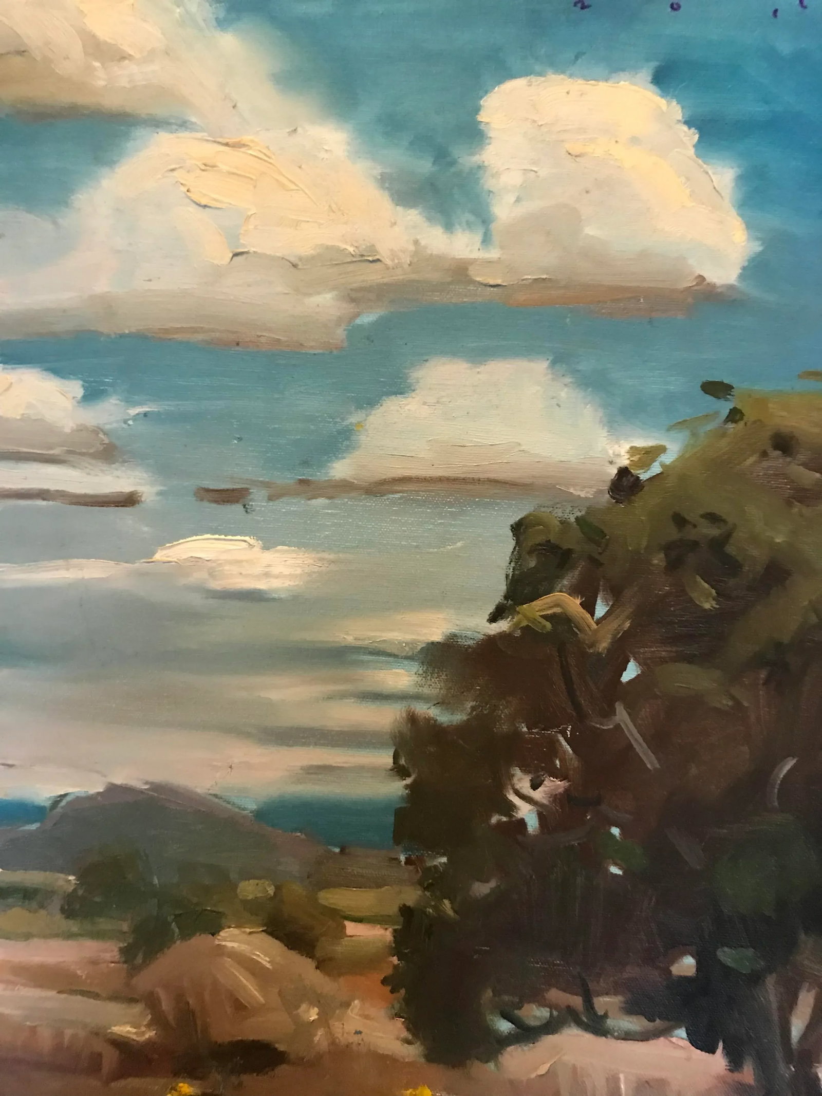 Gorgeous Western Skies Original Oil Painting - 2
