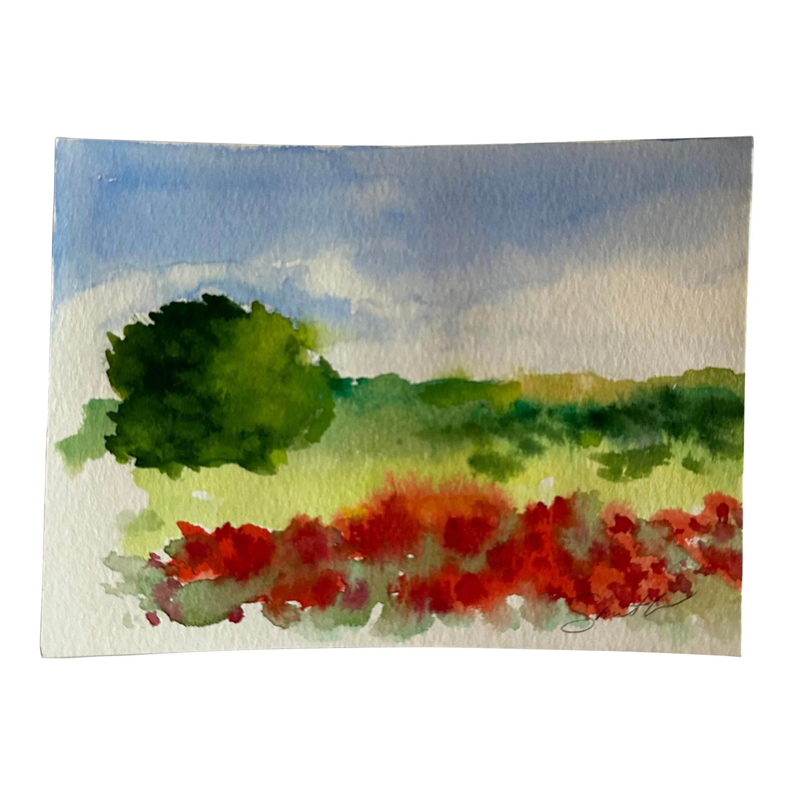 Signed Original Watercolor Landscape by Nancy Smith: Colorful landscape featuring red flowers in the foreground. Signed and ready to frame. Condition: Imperfections: No Imperfections Condition Notes: New art Origin: United States Materials &