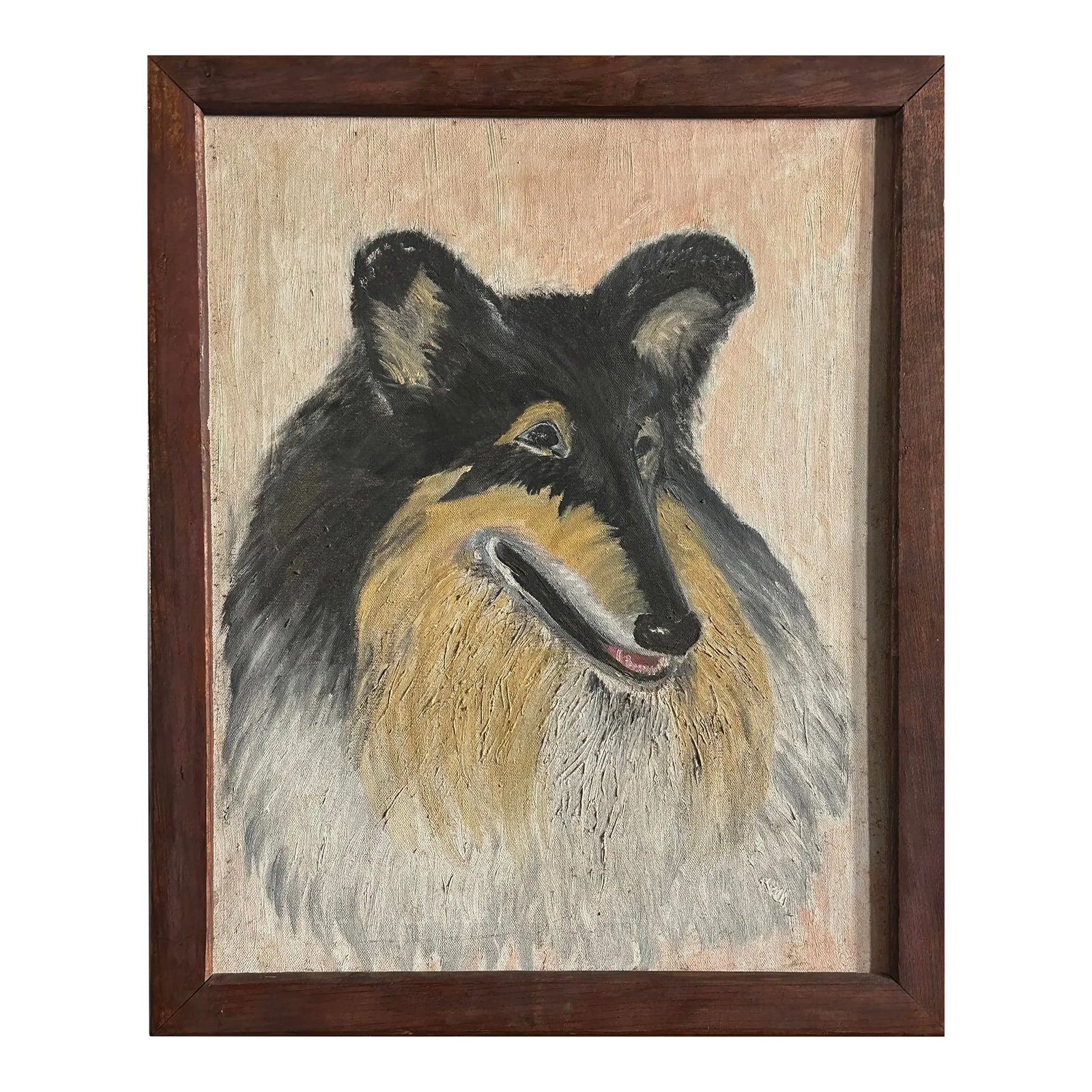 Vintage Outsider/Folk Art Collie Dog Portrait, Framed (C. 1955, Oil on Canvas): Vintage Outsider Collie Portrait, Framed (c. 1955, Oil on Canvas). Oil portrait on canvas of a Collie dog. Dusty faded pink background with areas of impasto towards the bottom of painting. Housed in a