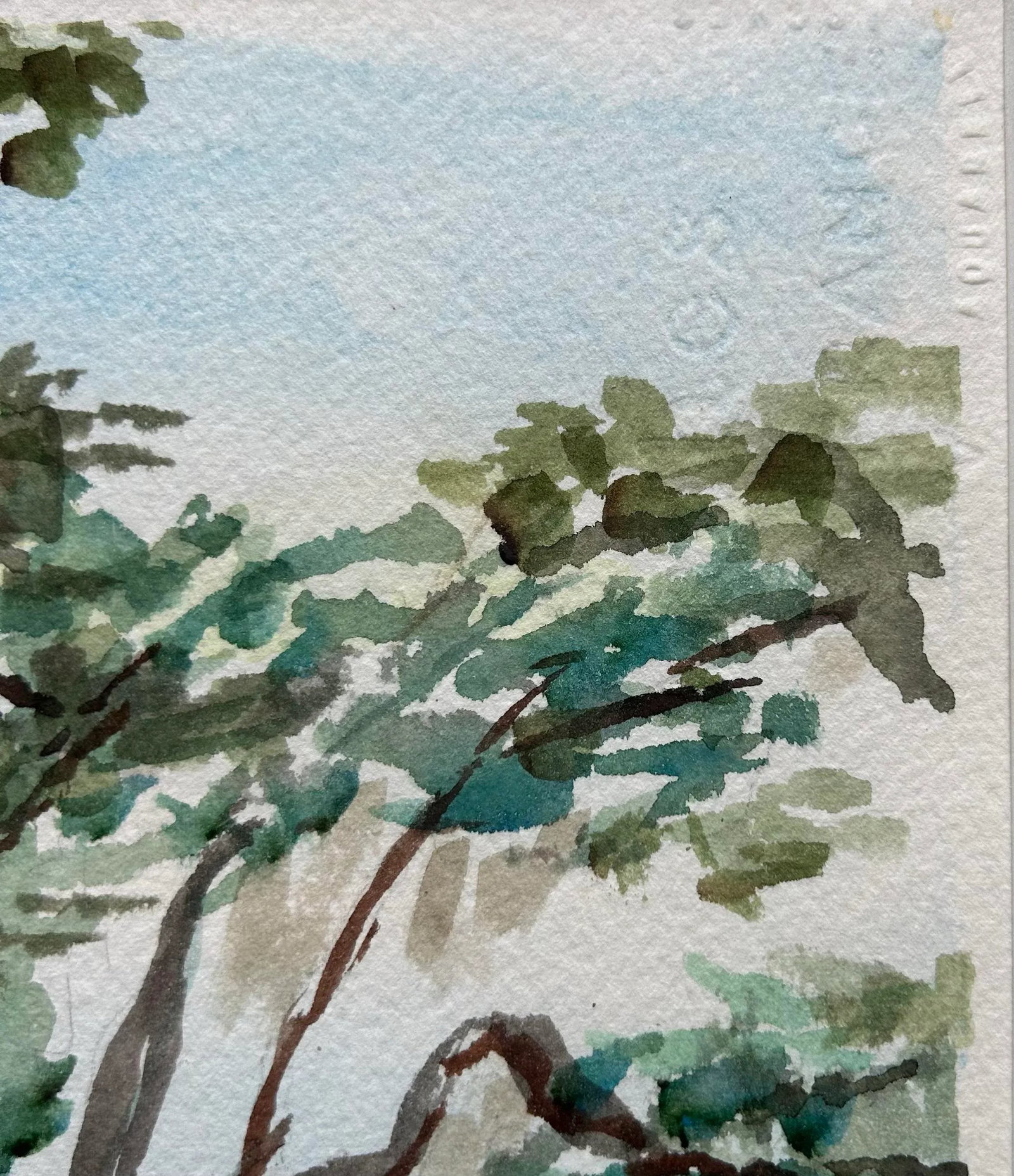 Original Impressionist Watercolor Painting of Sarasota Florida Landscape Signed Feinstein - 7