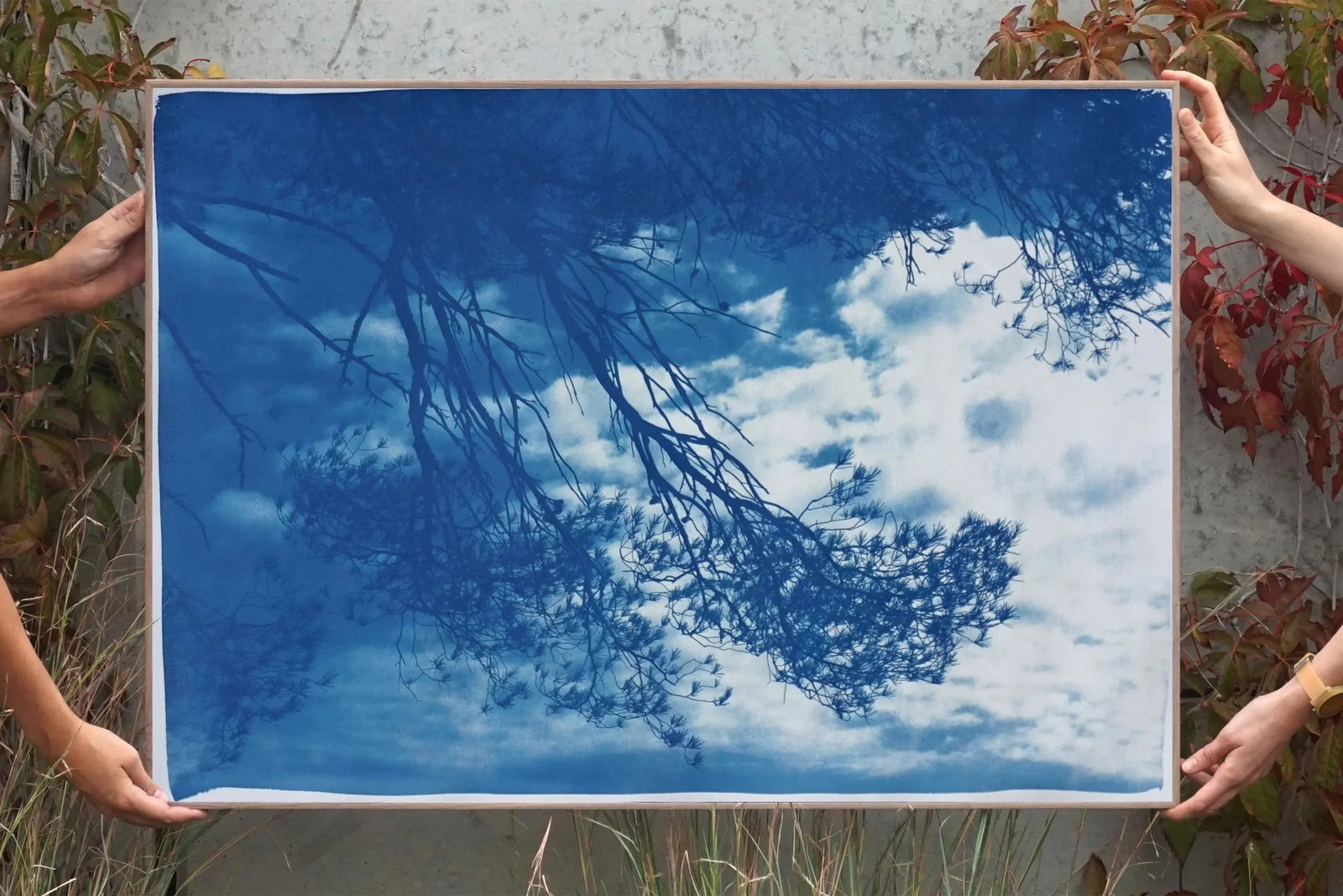 Malibu Pine Sea Vier 100x70cm, Hand Painted Cyanotype on Watercolor Paper, Limited Edition, Coastal - 3