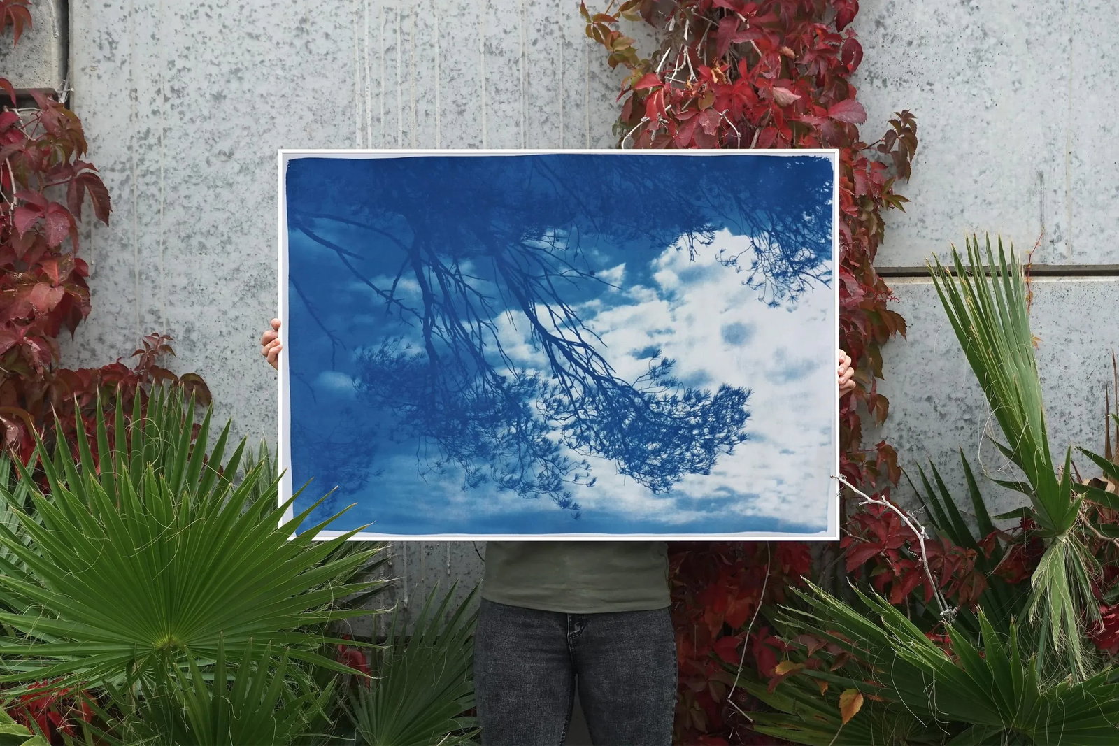 Malibu Pine Sea Vier 100x70cm, Hand Painted Cyanotype on Watercolor Paper, Limited Edition, Coastal - 5