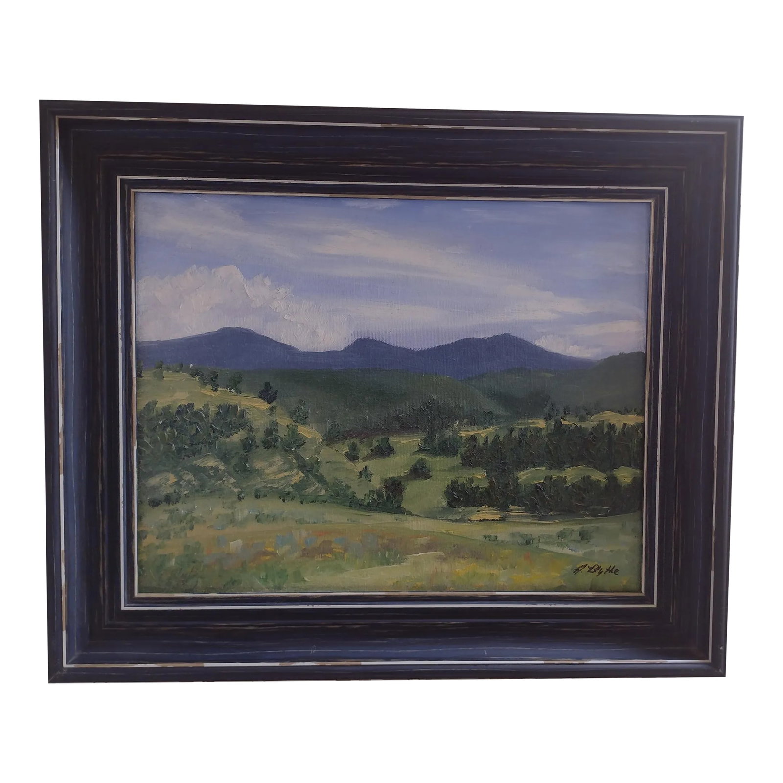 Original Oil Painting "Moreno Valley" by Anita Blythe 11" X 14" Plein Air Landscape: Artist: Anita C. Blythe (B. 1956) Title: Moreno Valley Looking East, Angel Fire Medium: Oil Painting On Canvas Board Size: 11" x 14" Unframed Framed: 13" x 16" Approximately This framed original oil