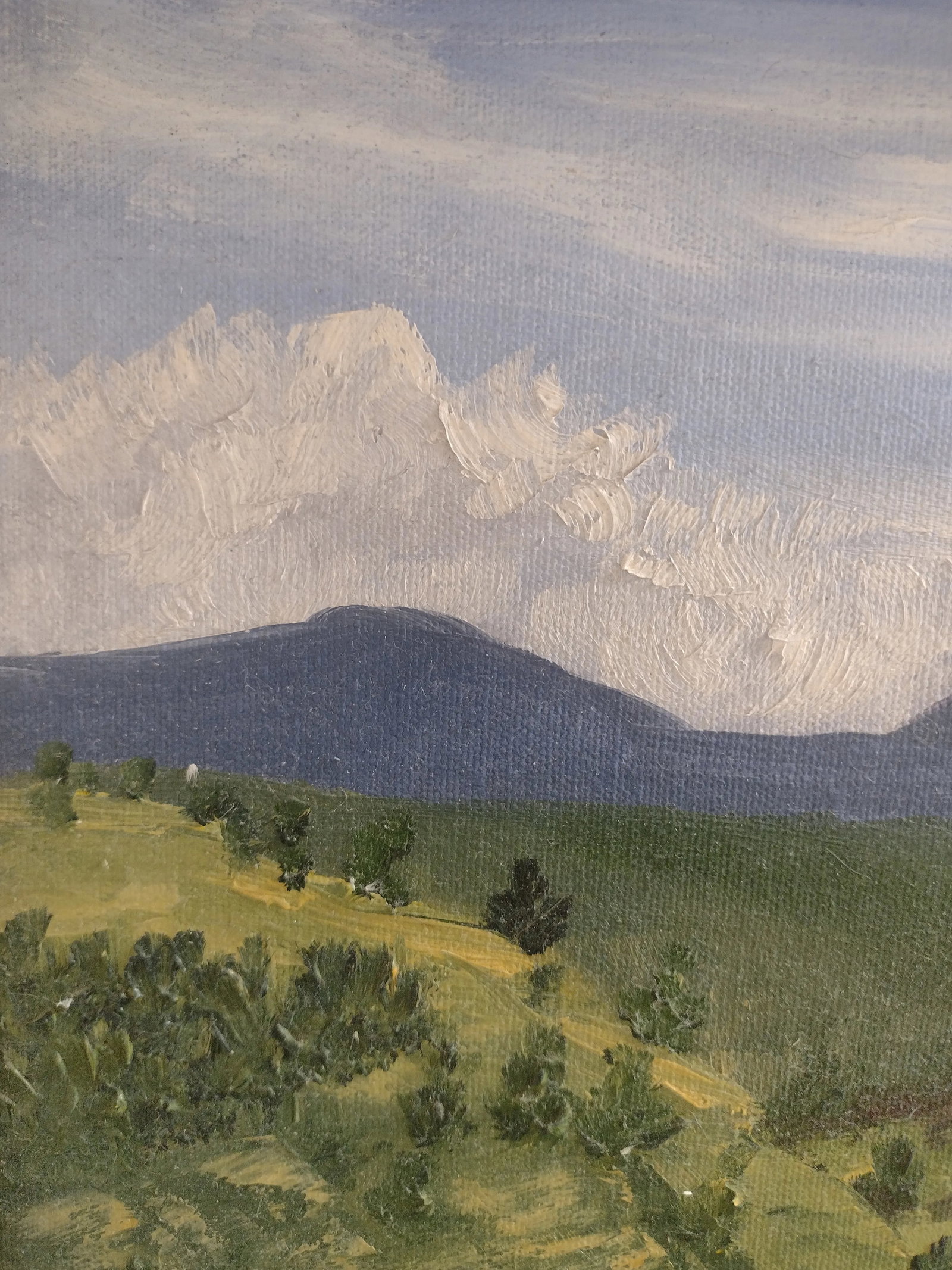 Original Oil Painting "Moreno Valley" by Anita Blythe 11" X 14" Plein Air Landscape - 5