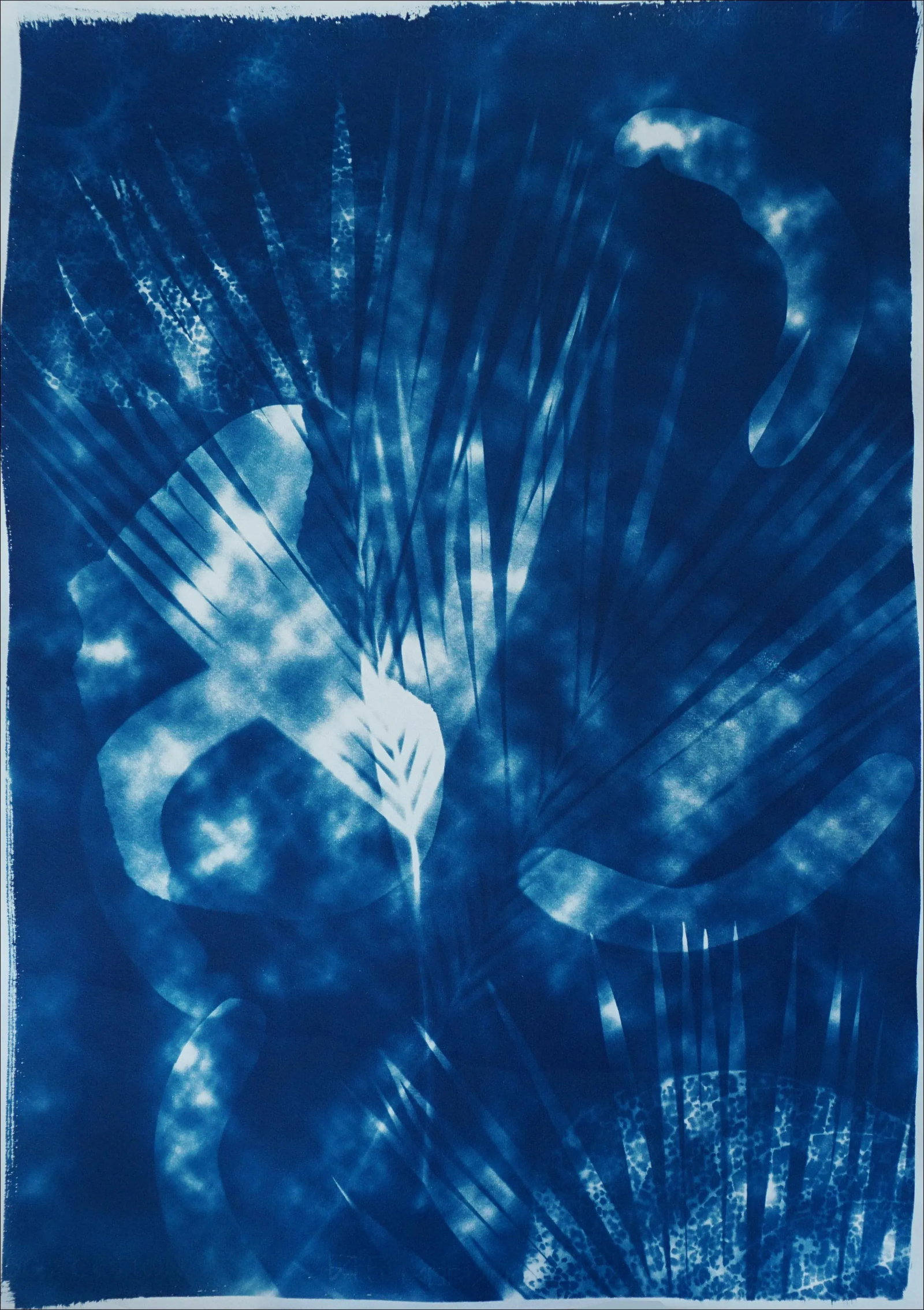 Botanical Cyanotype With Abstract Cloudy Shades,Photogram Made on Watercolor Paper, Deep Range of Bl - 10