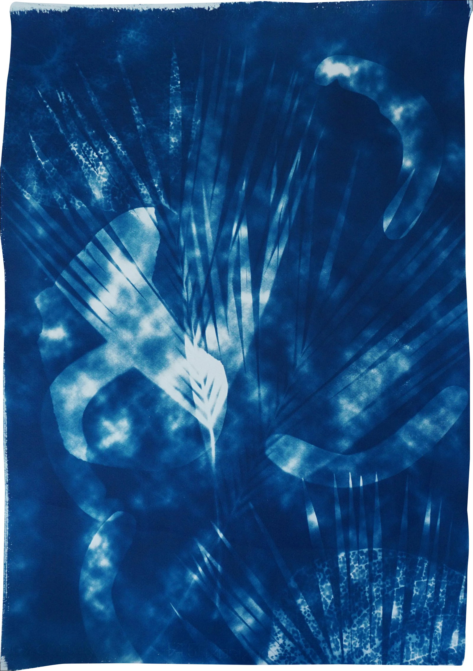 Botanical Cyanotype With Abstract Cloudy Shades,Photogram Made on Watercolor Paper, Deep Range of Bl: This is a botanical cyanotype print made using natural sunlight. It's handmade and unique. Details: + Title: Botanical Cyanotype with Abstract Cloudy Shades + Edition Size: Unique / Monotype +