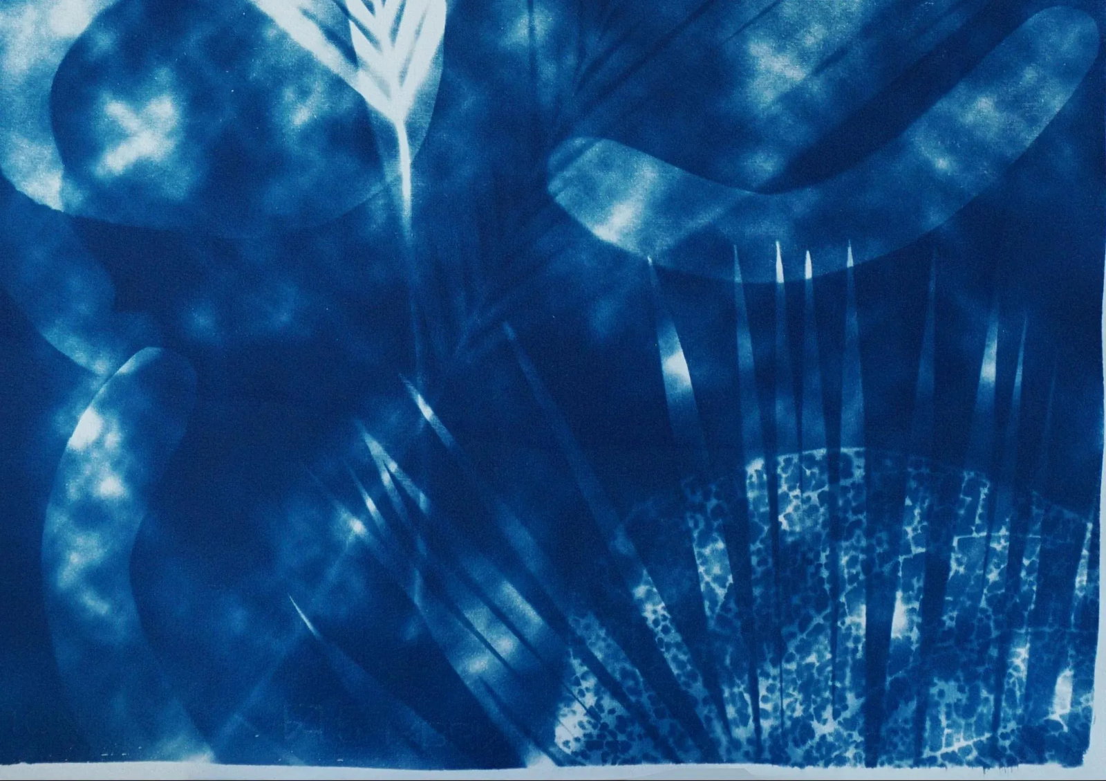 Botanical Cyanotype With Abstract Cloudy Shades,Photogram Made on Watercolor Paper, Deep Range of Bl - 4