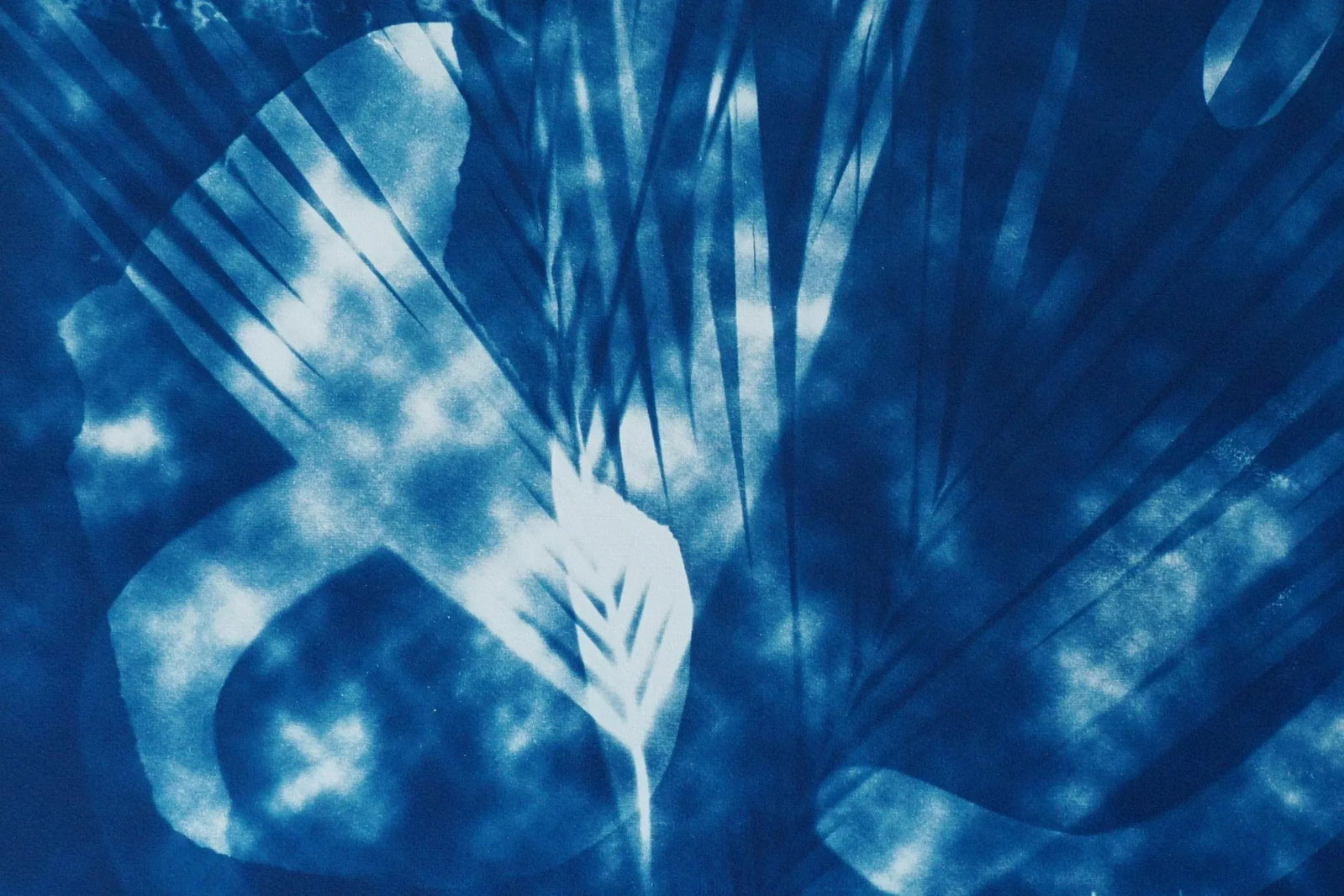 Botanical Cyanotype With Abstract Cloudy Shades,Photogram Made on Watercolor Paper, Deep Range of Bl - 6