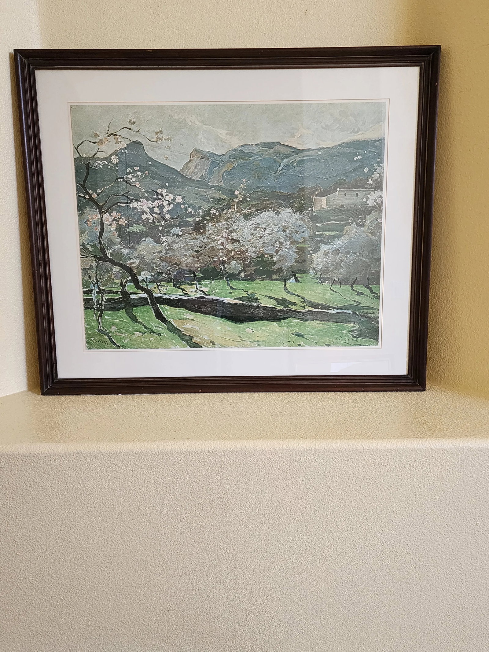 Josep Puigdengolas Limited Edition Lithograph Signed and Numbered - Framed - 5