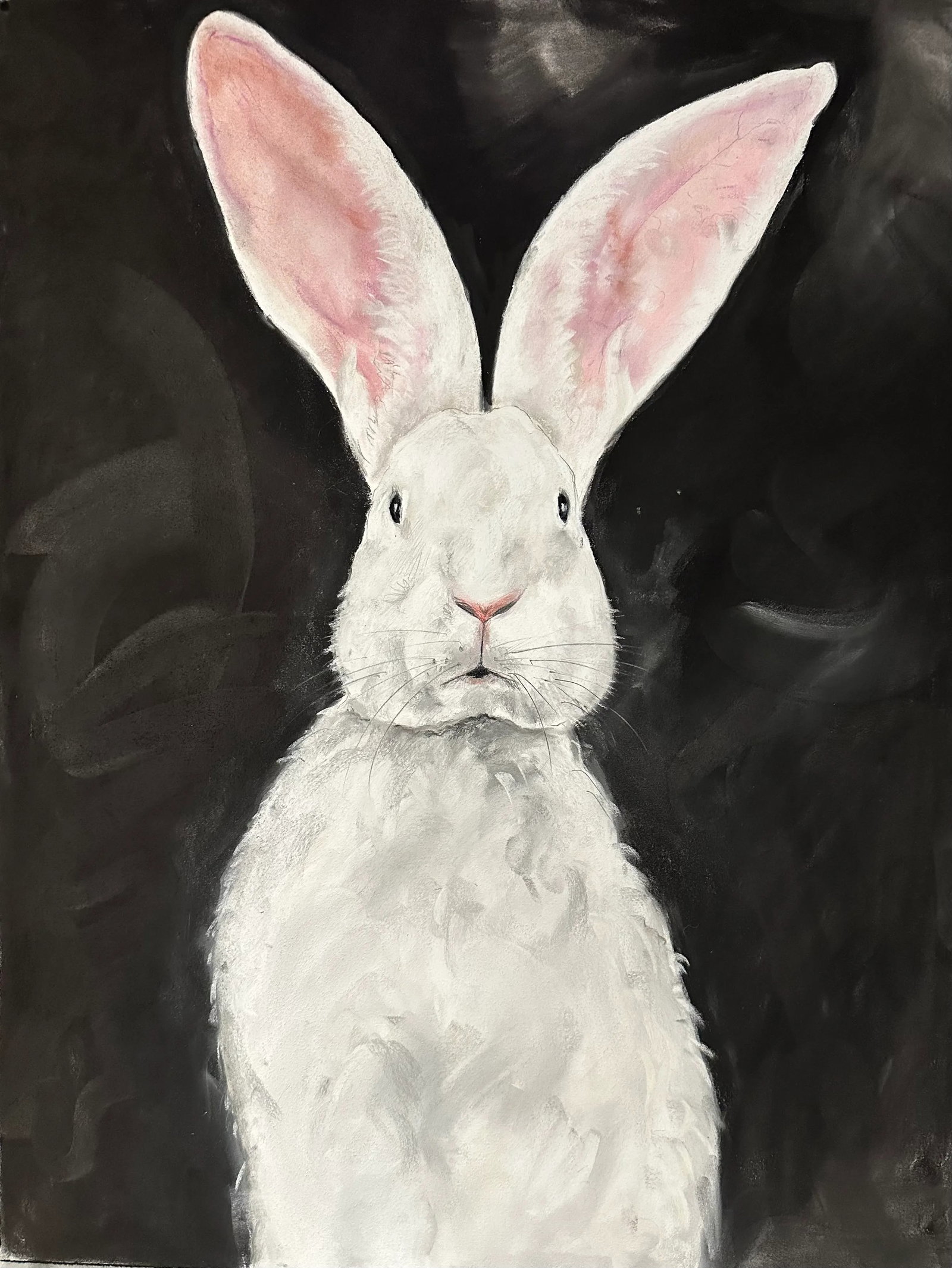 Contemporary Pastel Drawing "White Rabbit" (1 of 2)