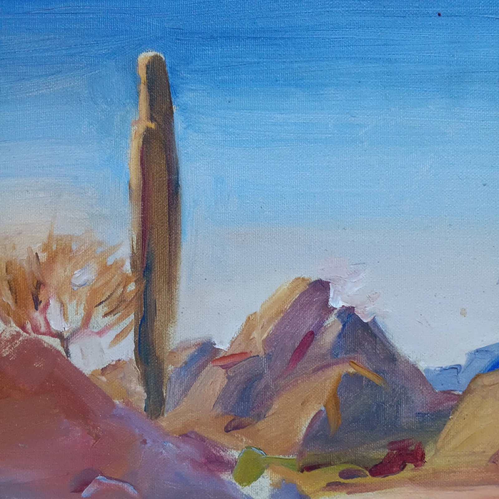 Cactus in the Desert Original Oil Painting - 2