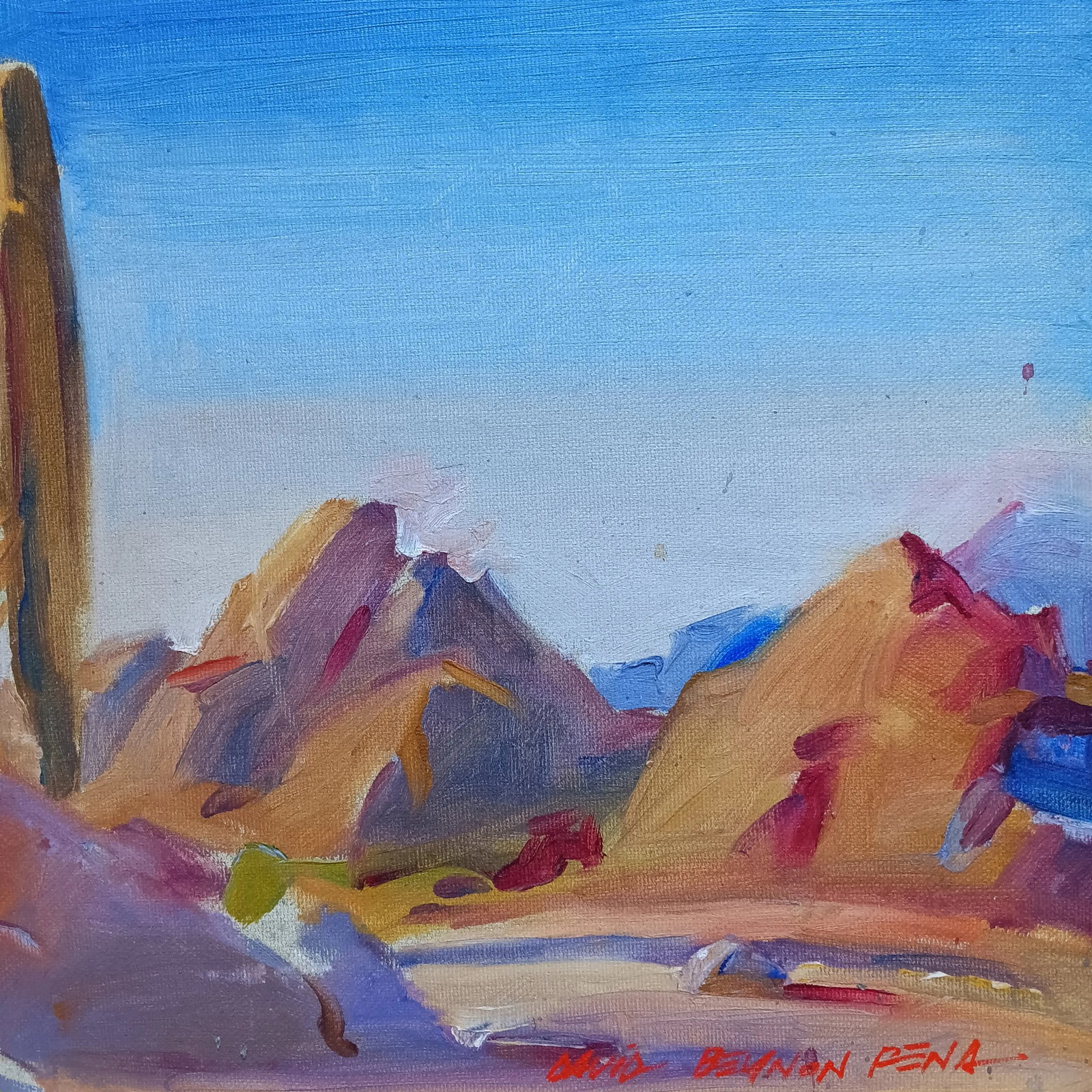 Cactus in the Desert Original Oil Painting - 3