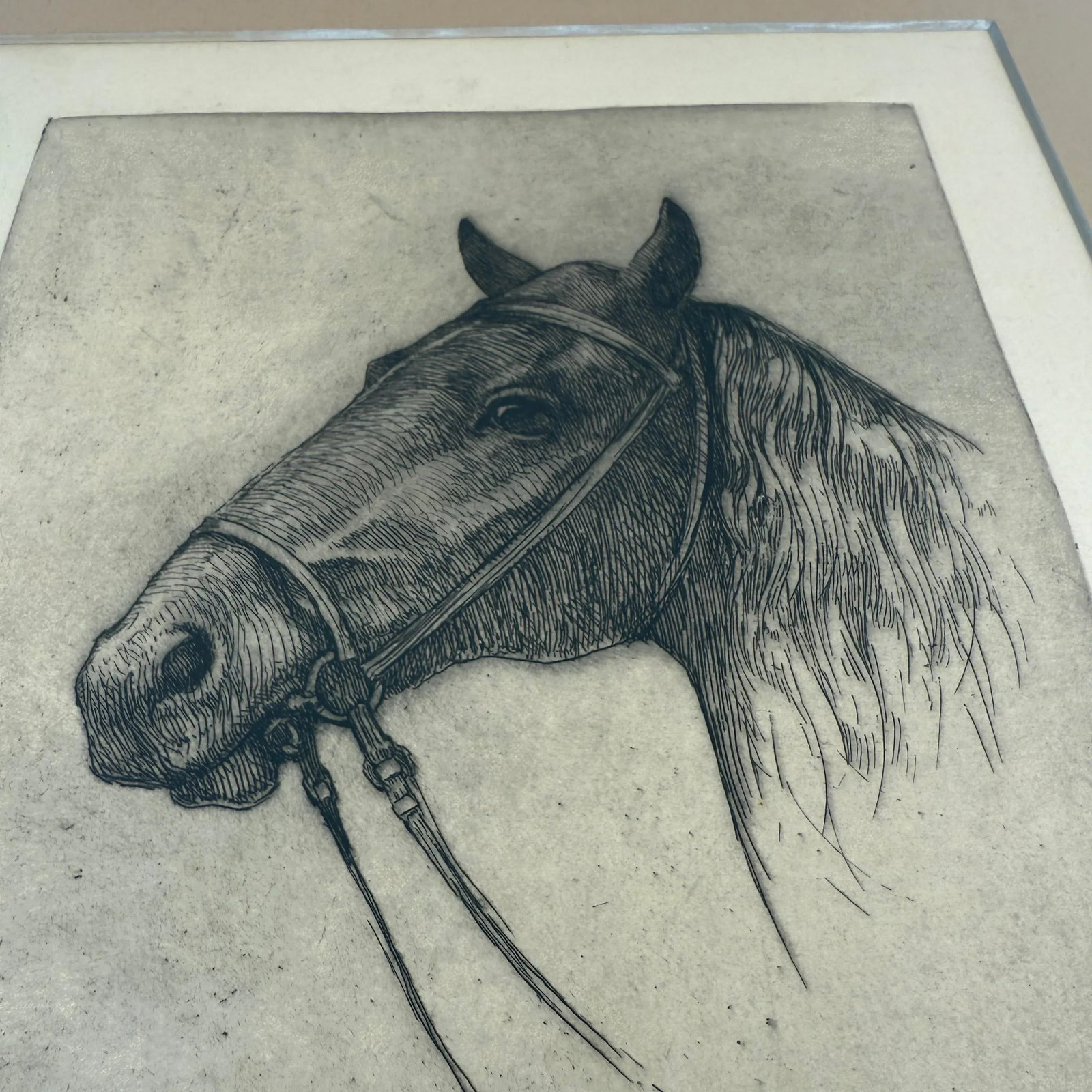 American Horse Etching by Ellsworth Woodward - 4