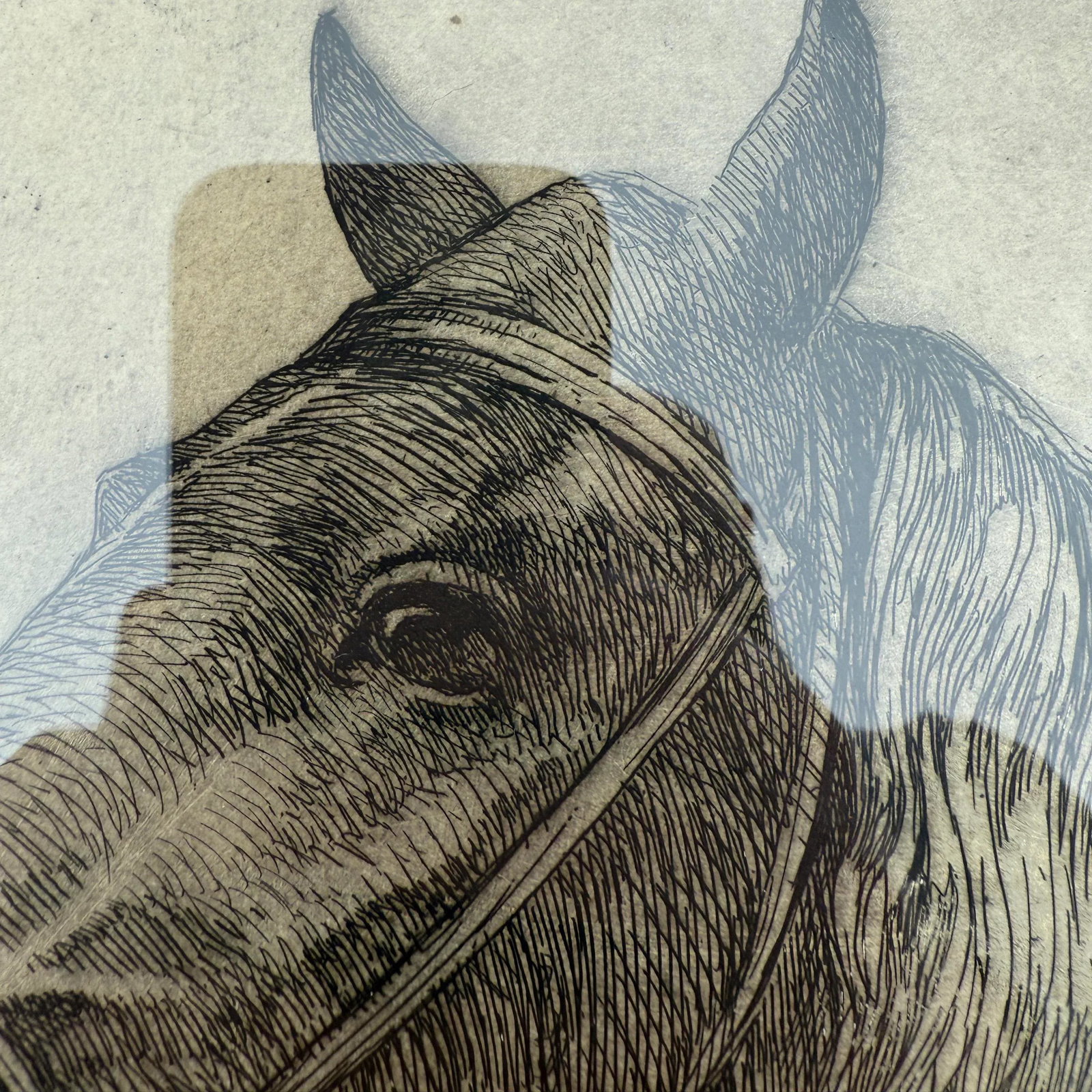 American Horse Etching by Ellsworth Woodward - 5