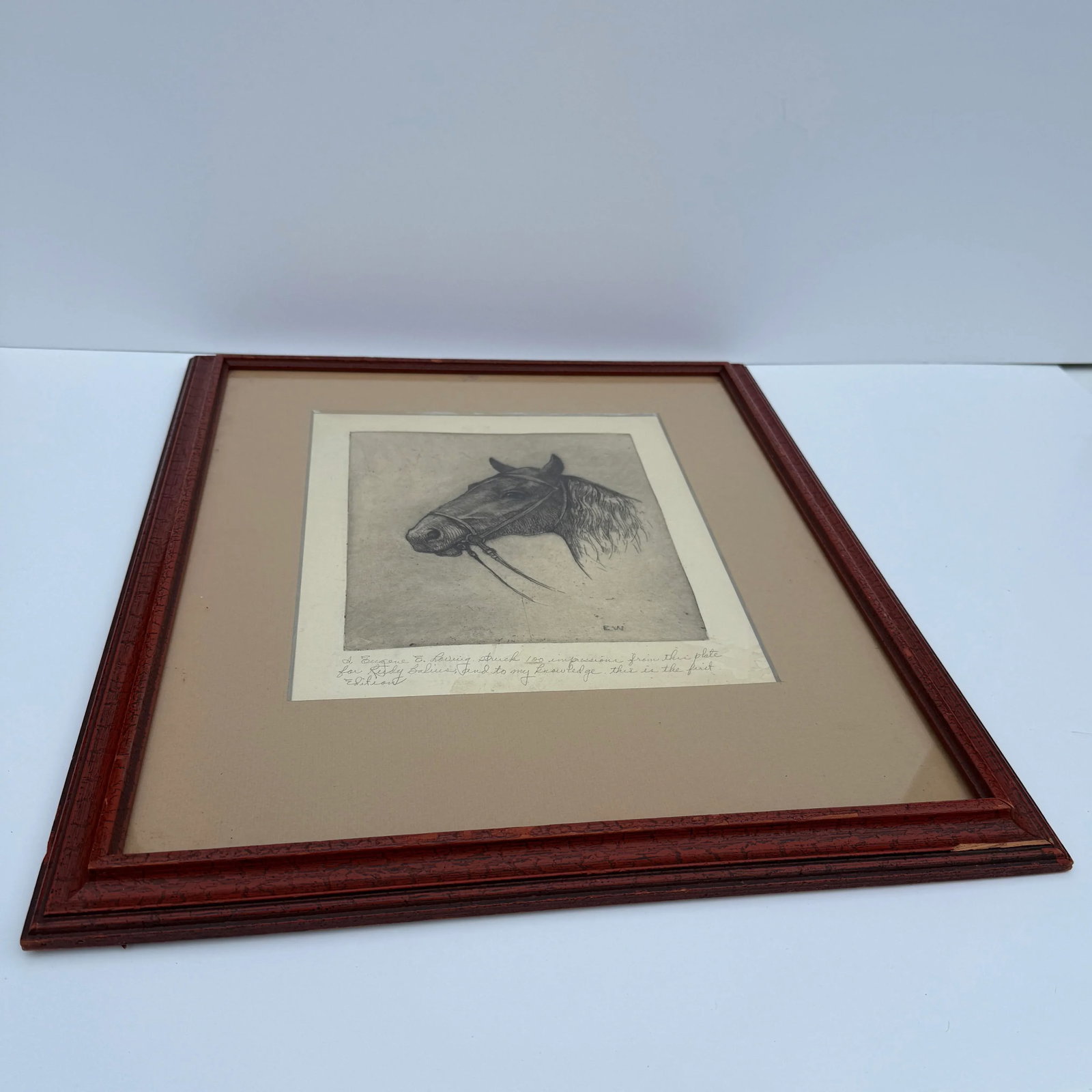 American Horse Etching by Ellsworth Woodward - 7