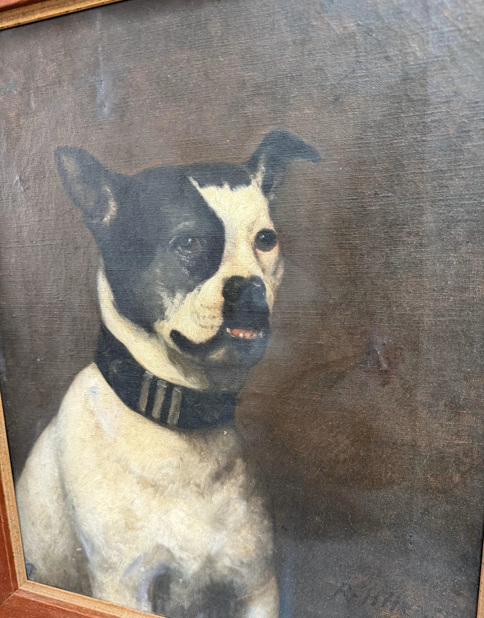 19th Century English Oil Painting of a Bulldog by r.h. Hearn, Dated 1874 - 8