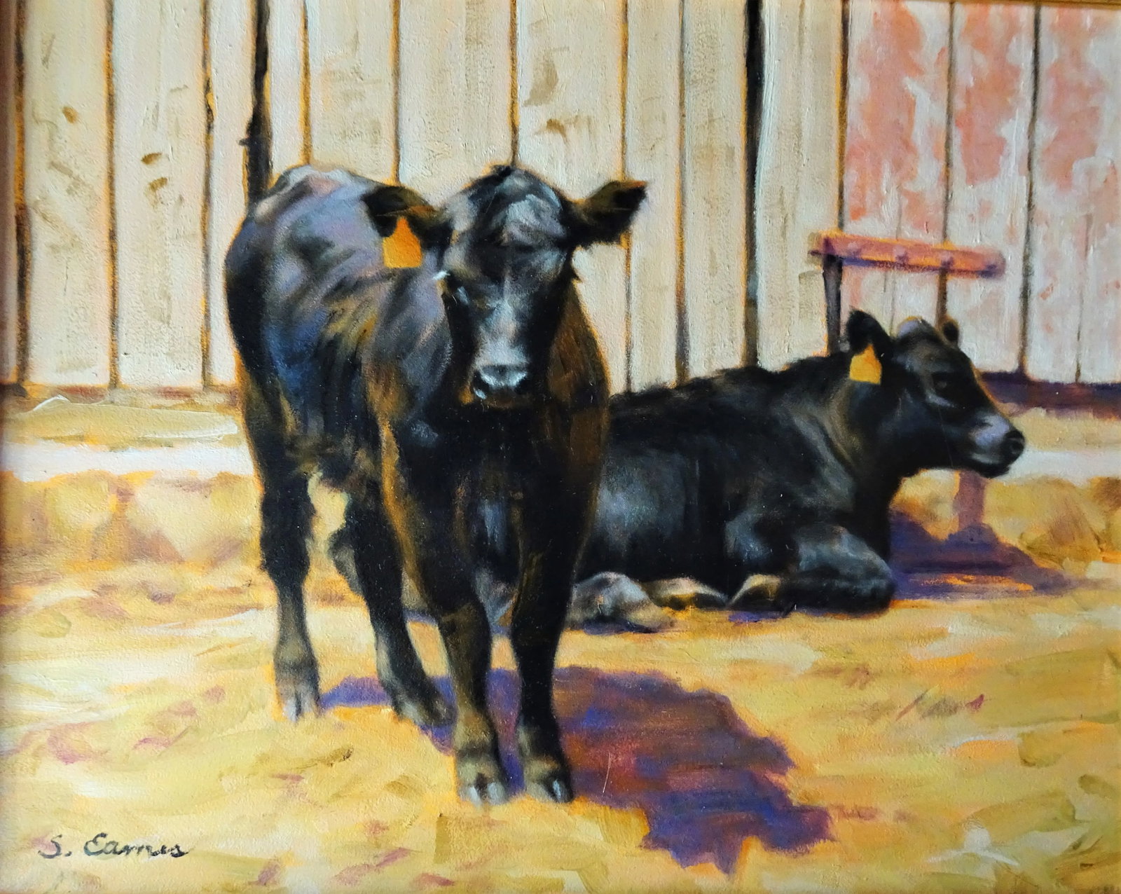 "Black Angus", Framed Small Oil Painting on Artist Board, Sandra Eames, Vermont Artist, 2017 - 2