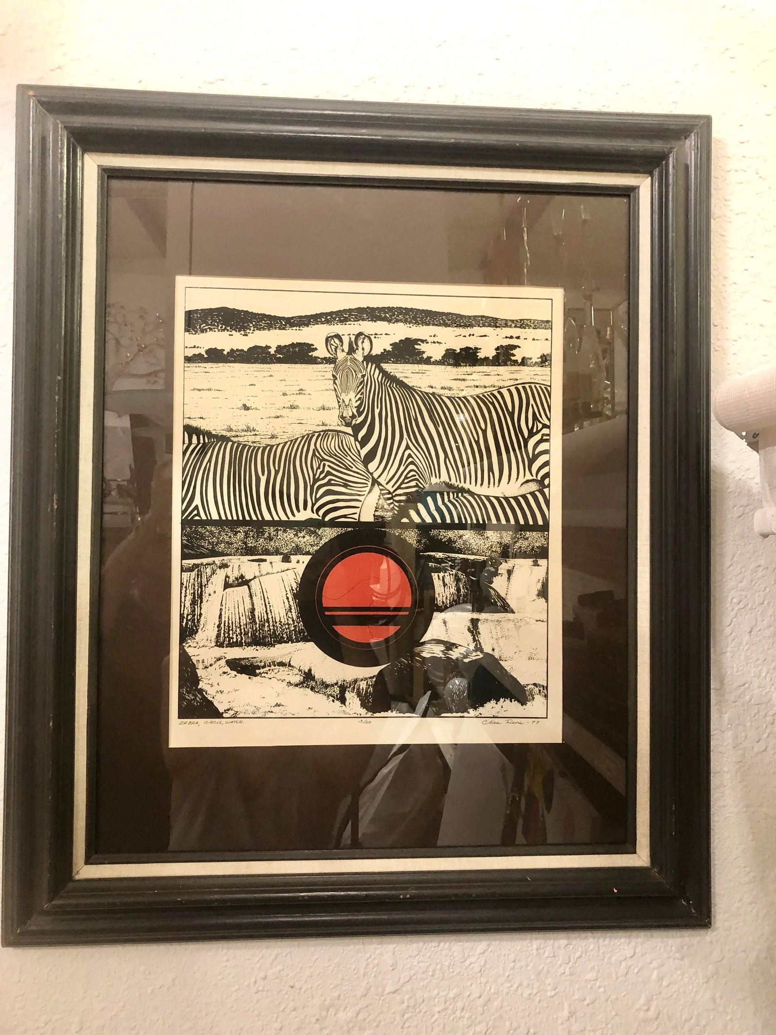 "Zebra, Circle, Water" Vintage 1970s Framed Print - 10
