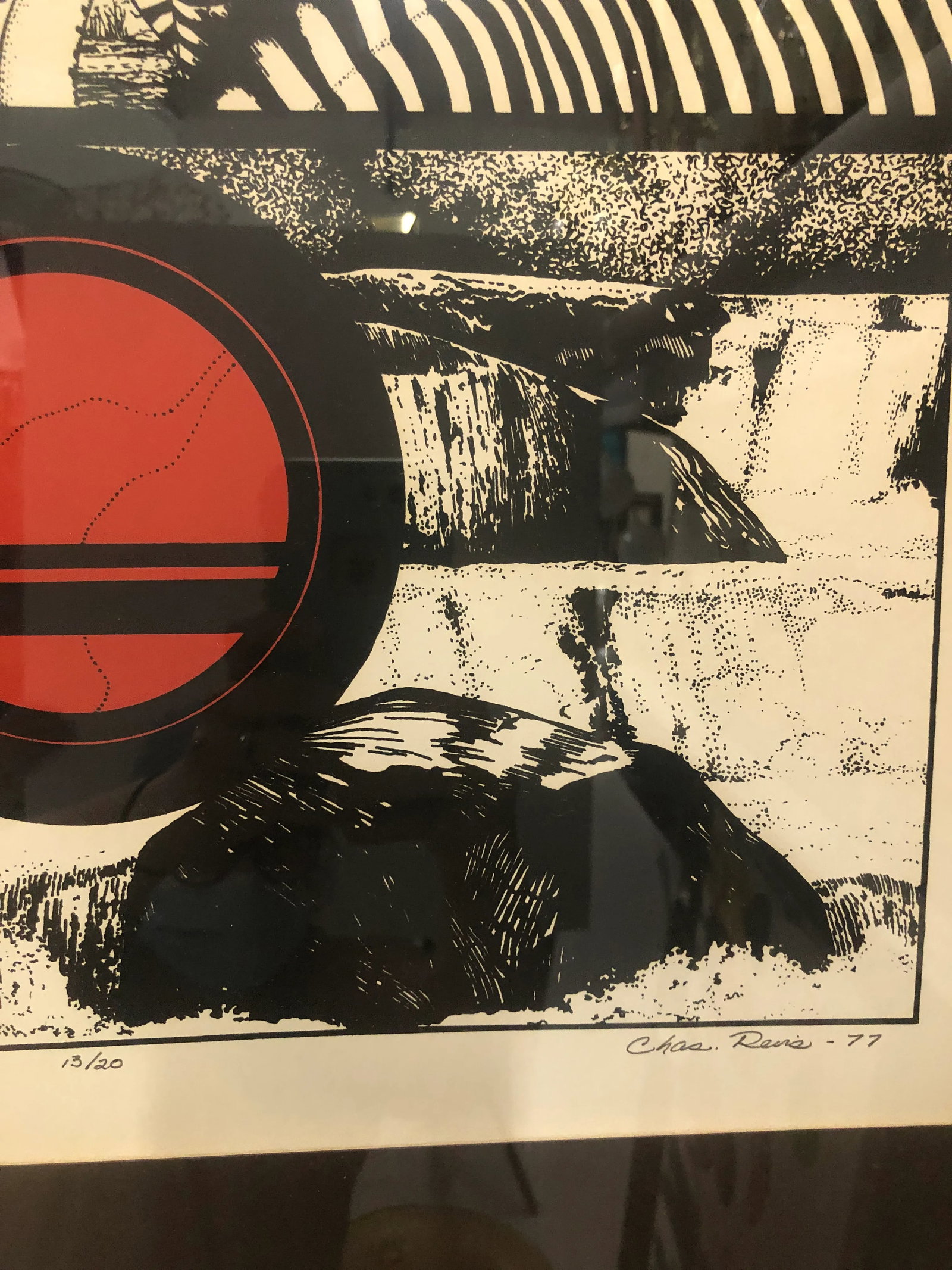 "Zebra, Circle, Water" Vintage 1970s Framed Print - 2