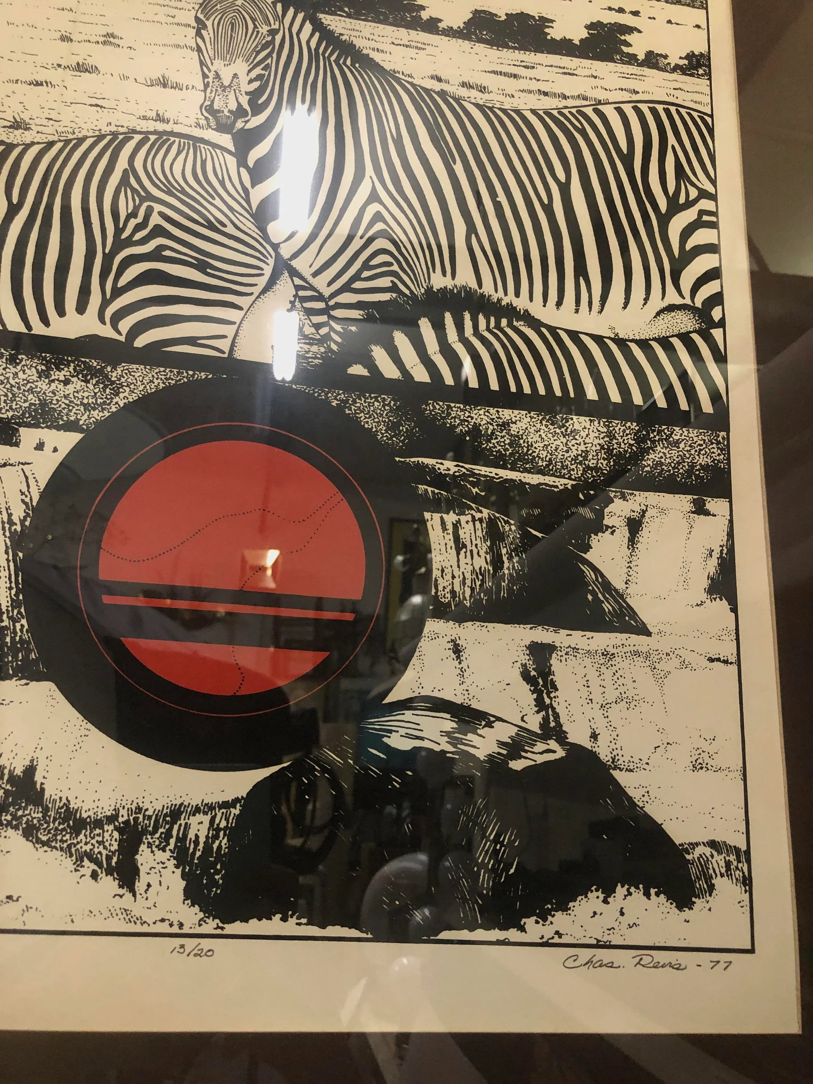 "Zebra, Circle, Water" Vintage 1970s Framed Print - 4
