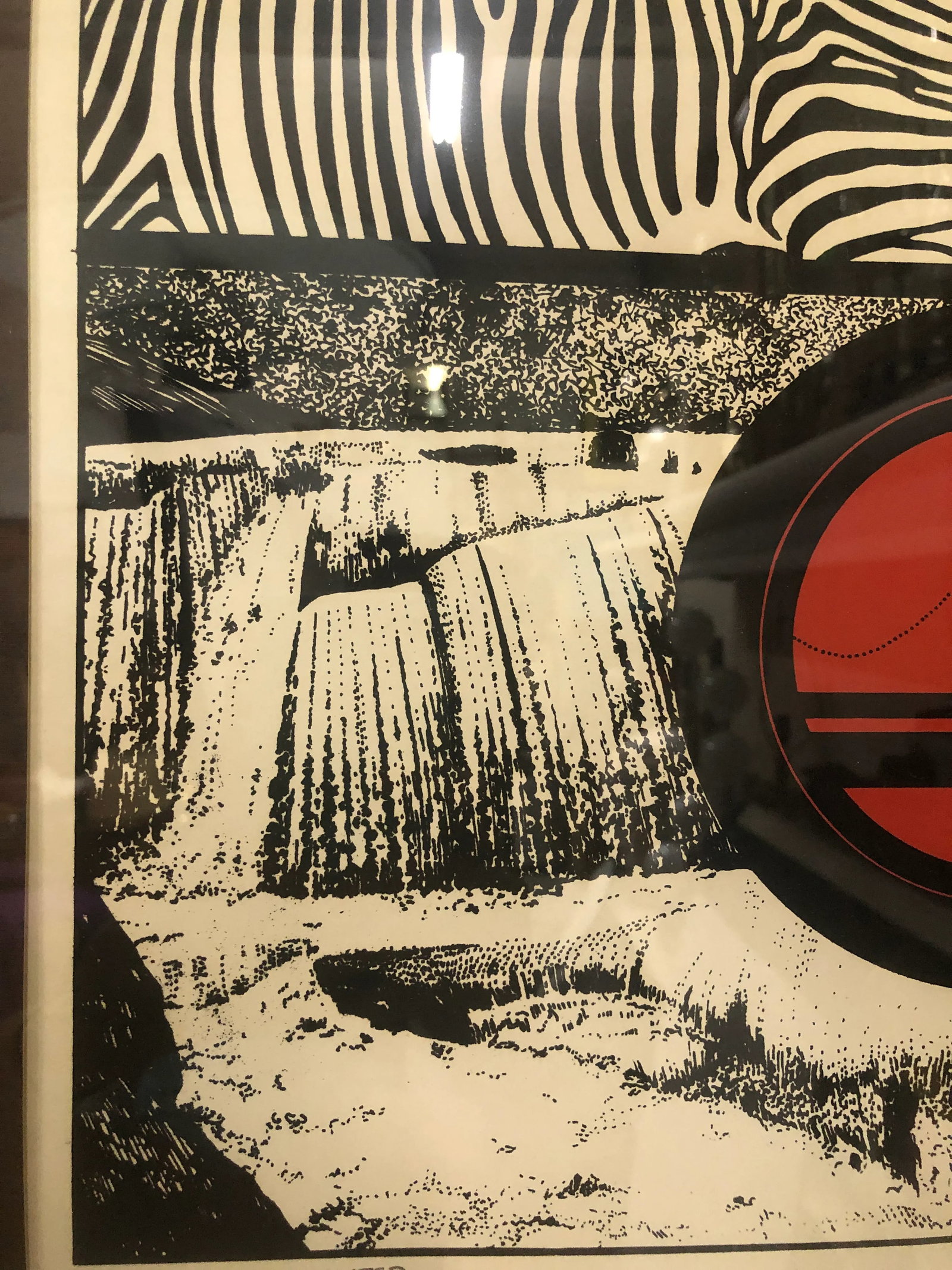 "Zebra, Circle, Water" Vintage 1970s Framed Print - 5